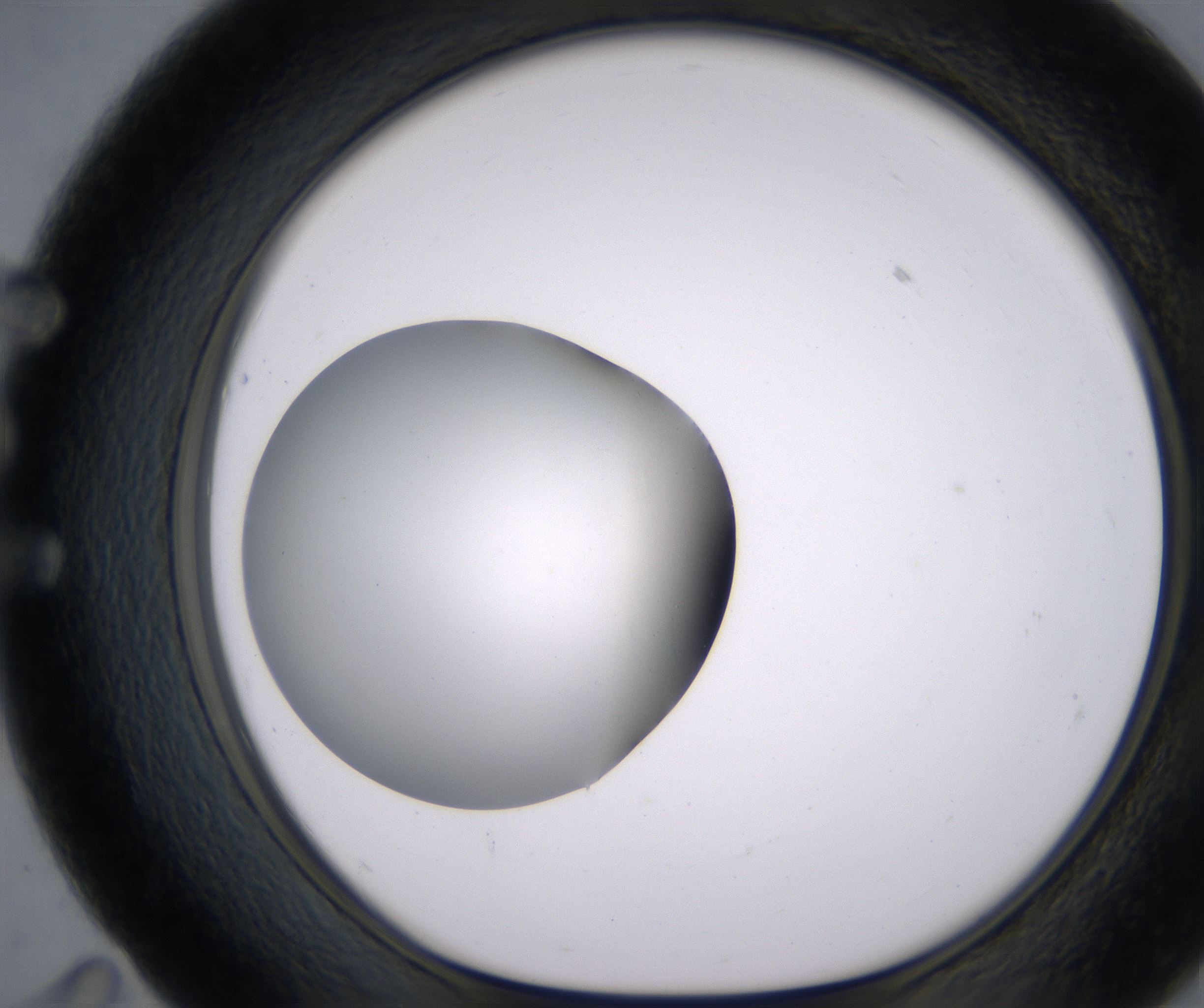 E11_HighResolution_Clear_1.jpg