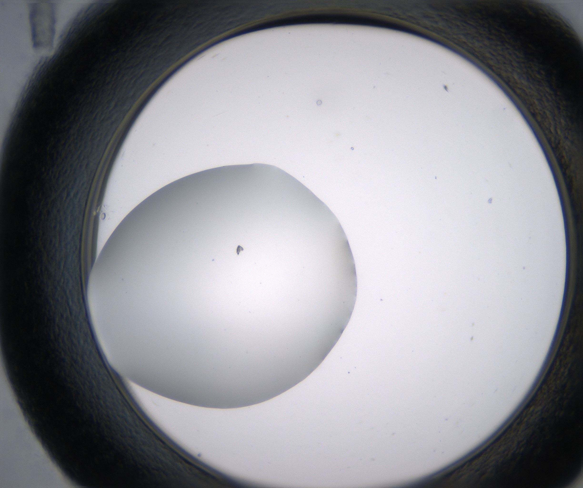 E11_HighResolution_Clear_2.jpg