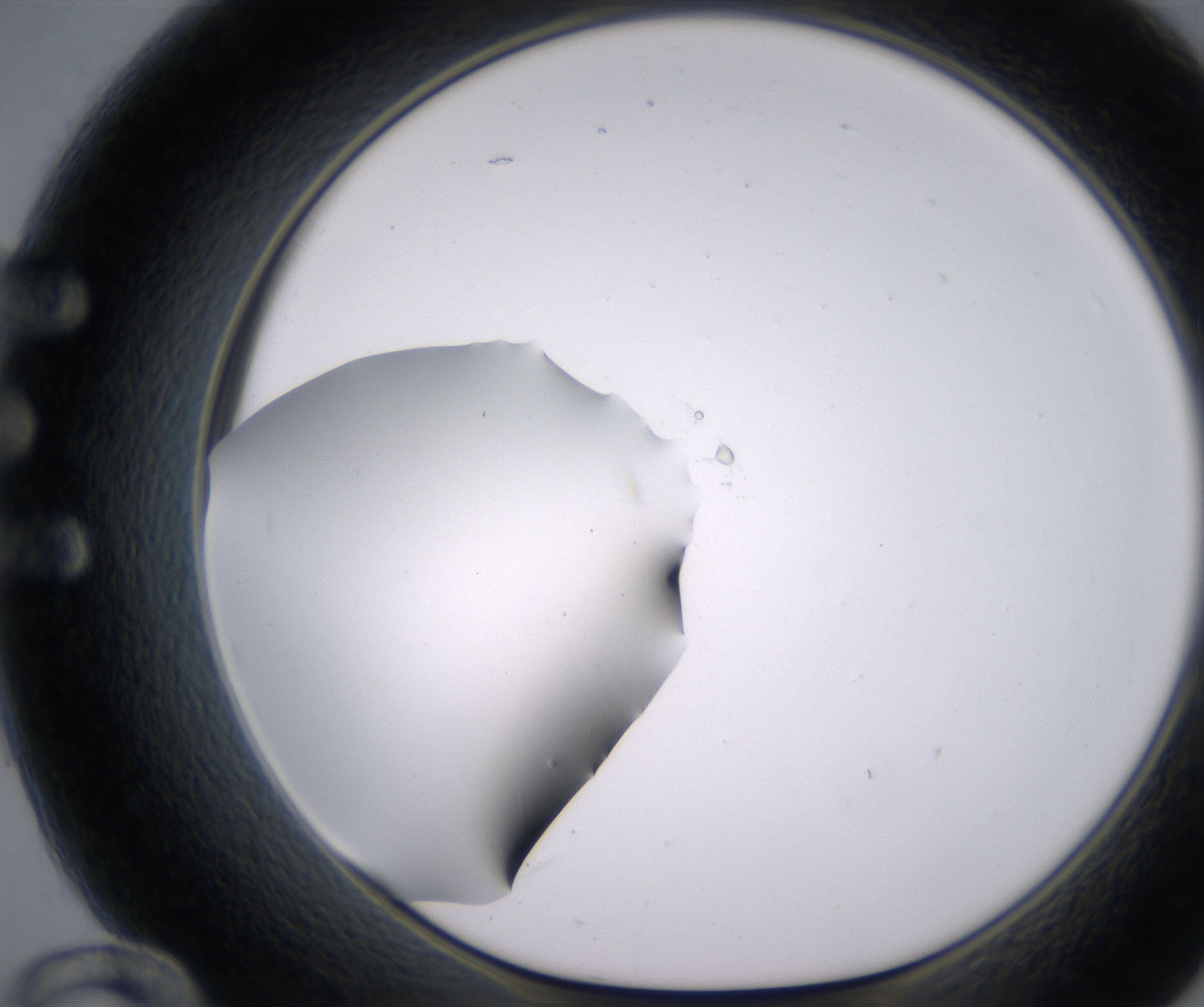 E12_HighResolution_Clear_1.jpg