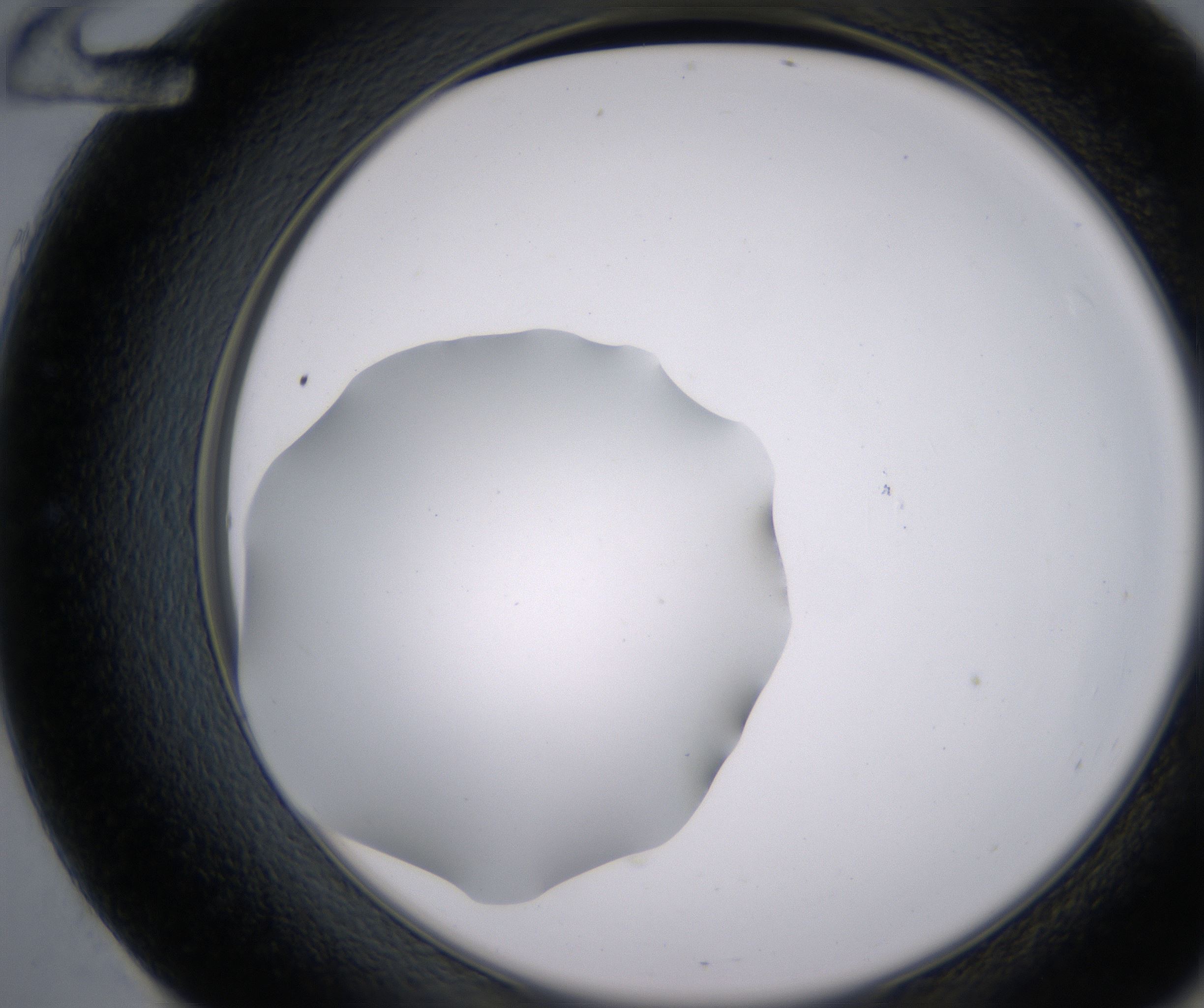 E12_HighResolution_Clear_2.jpg