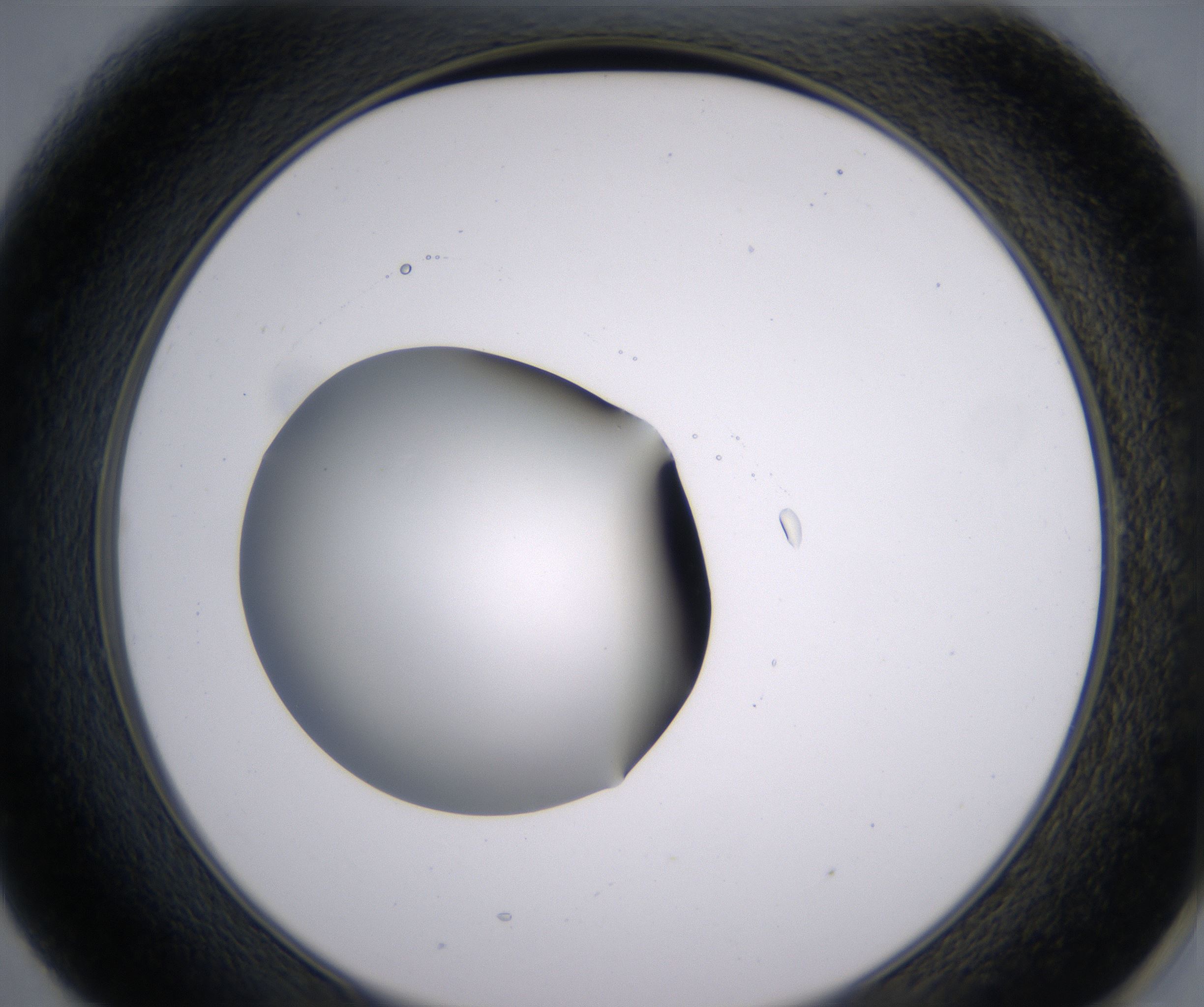E1_HighResolution_Clear_2.jpg