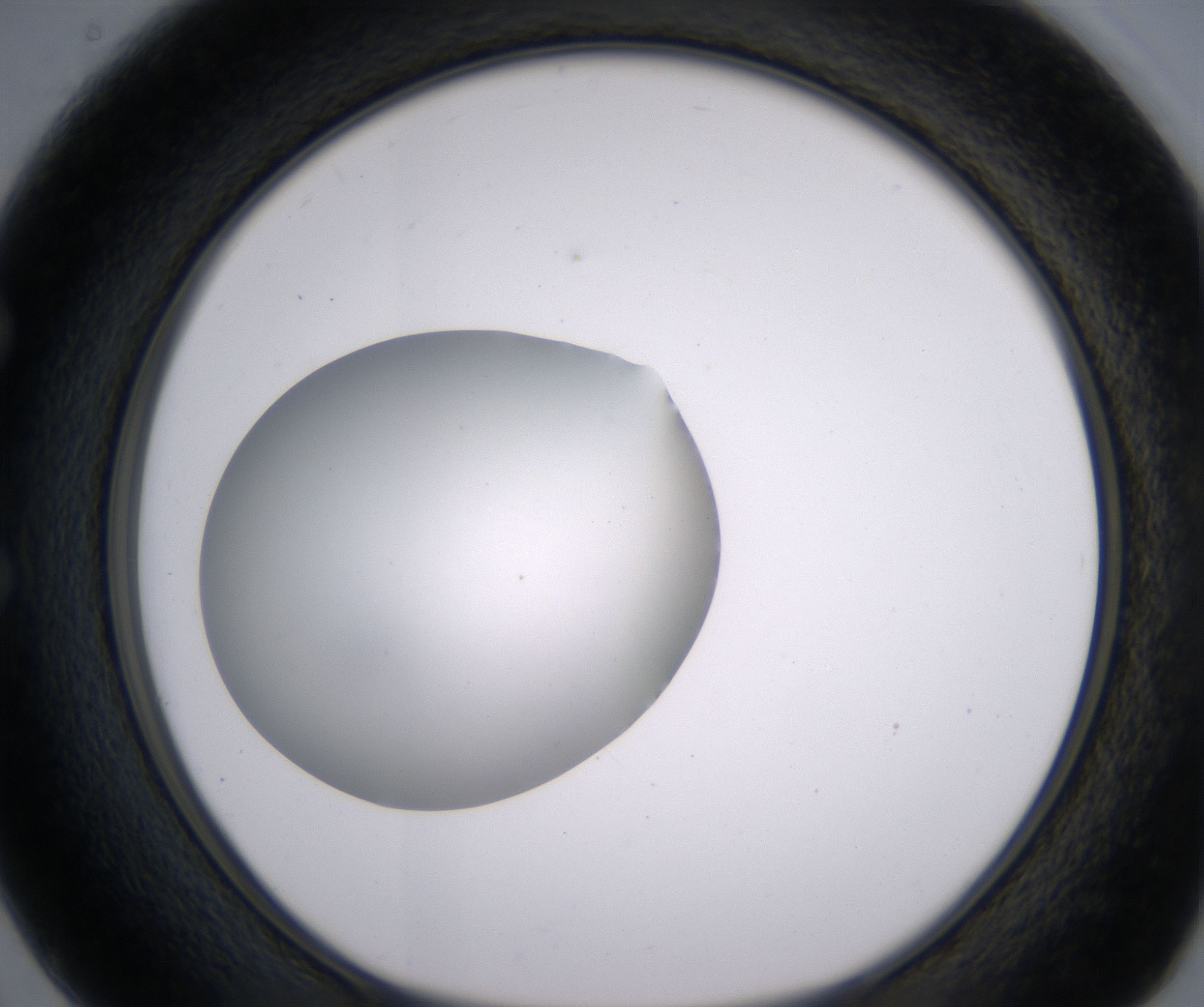 E2_HighResolution_Clear_1.jpg