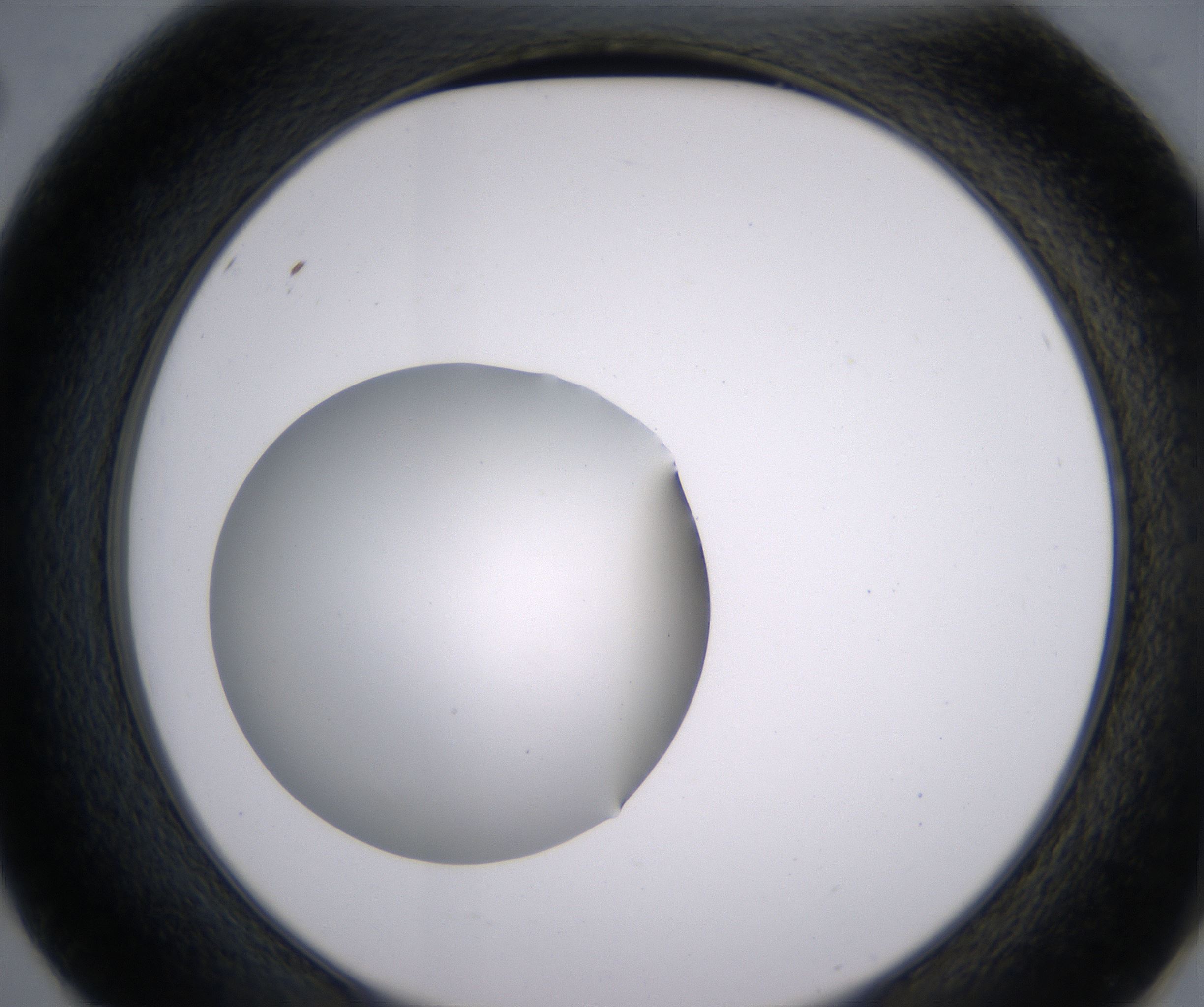 E2_HighResolution_Clear_2.jpg