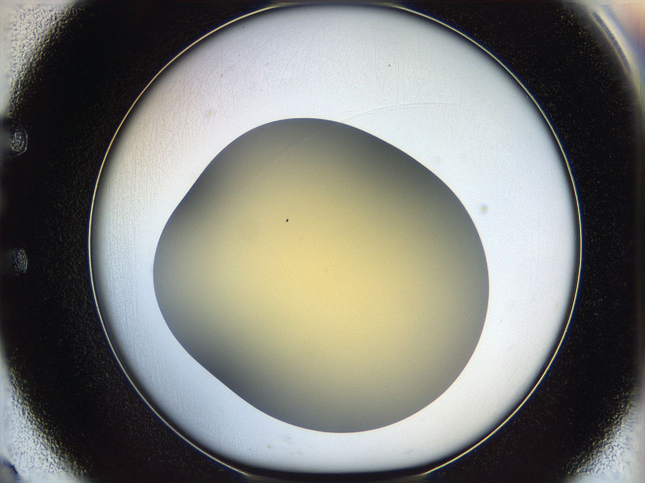 05k0_E9_ImagerDefaults_0.jpg