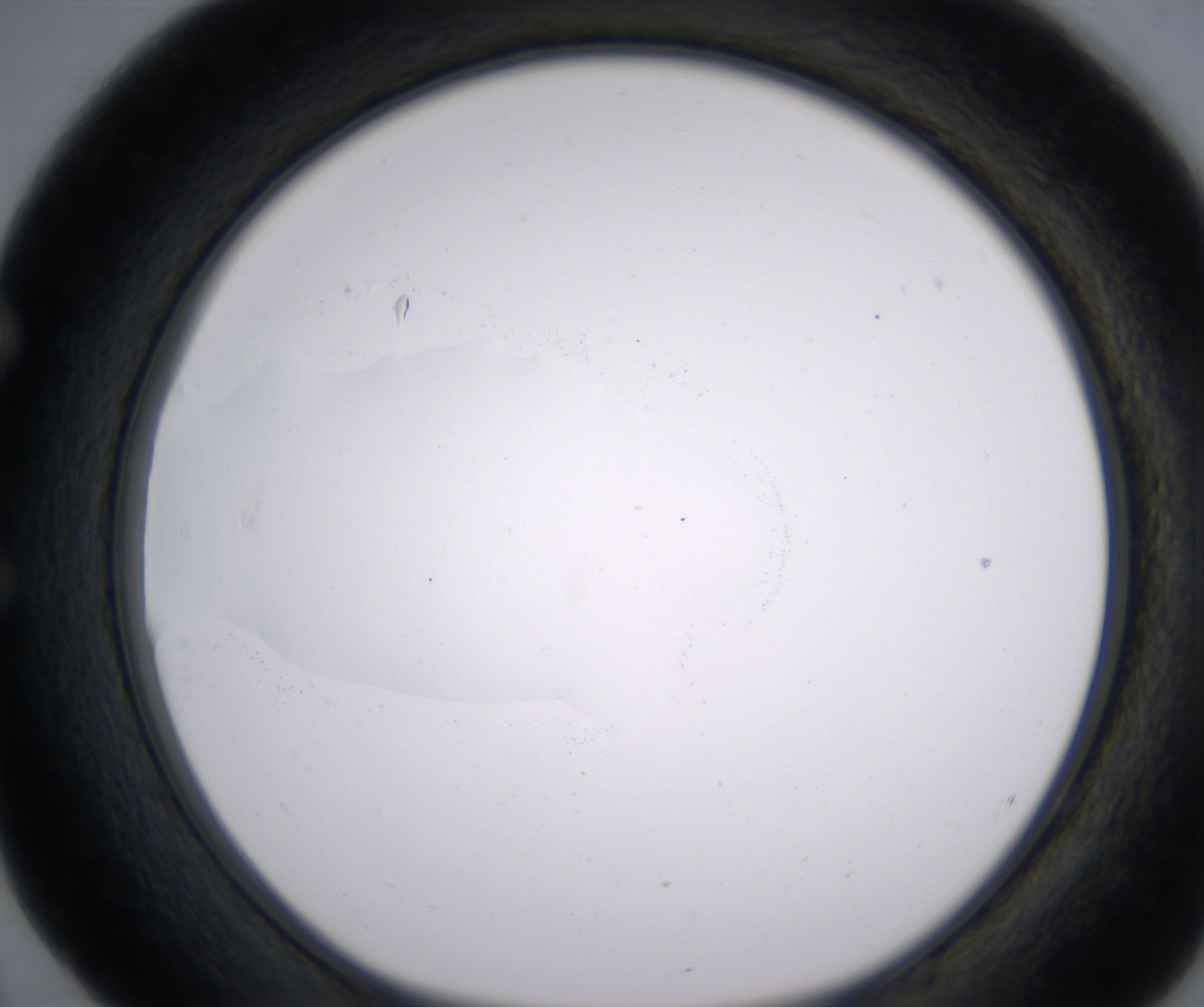 E4_HighResolution_Clear_1.jpg