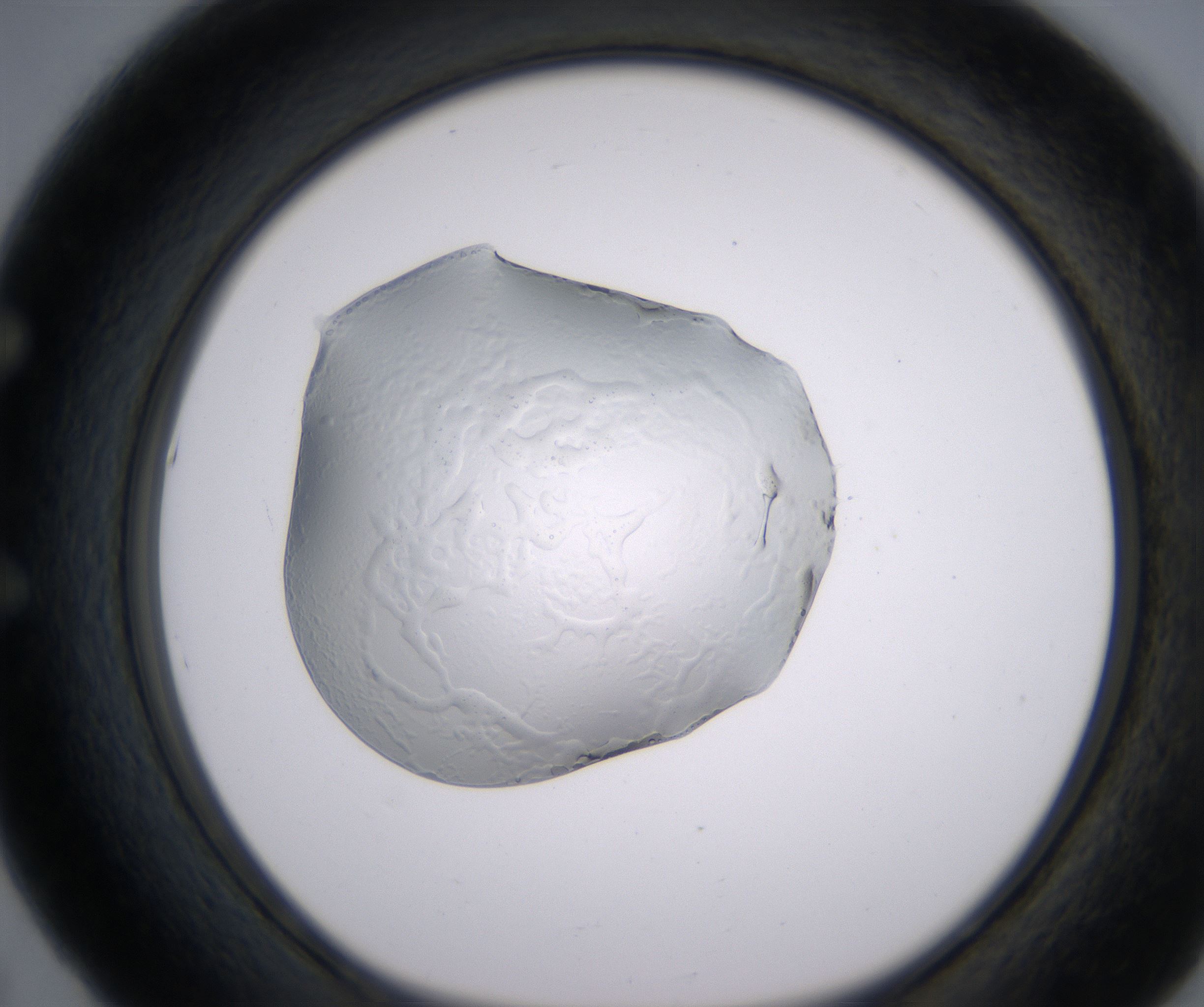 E5_HighResolution_Clear_1.jpg