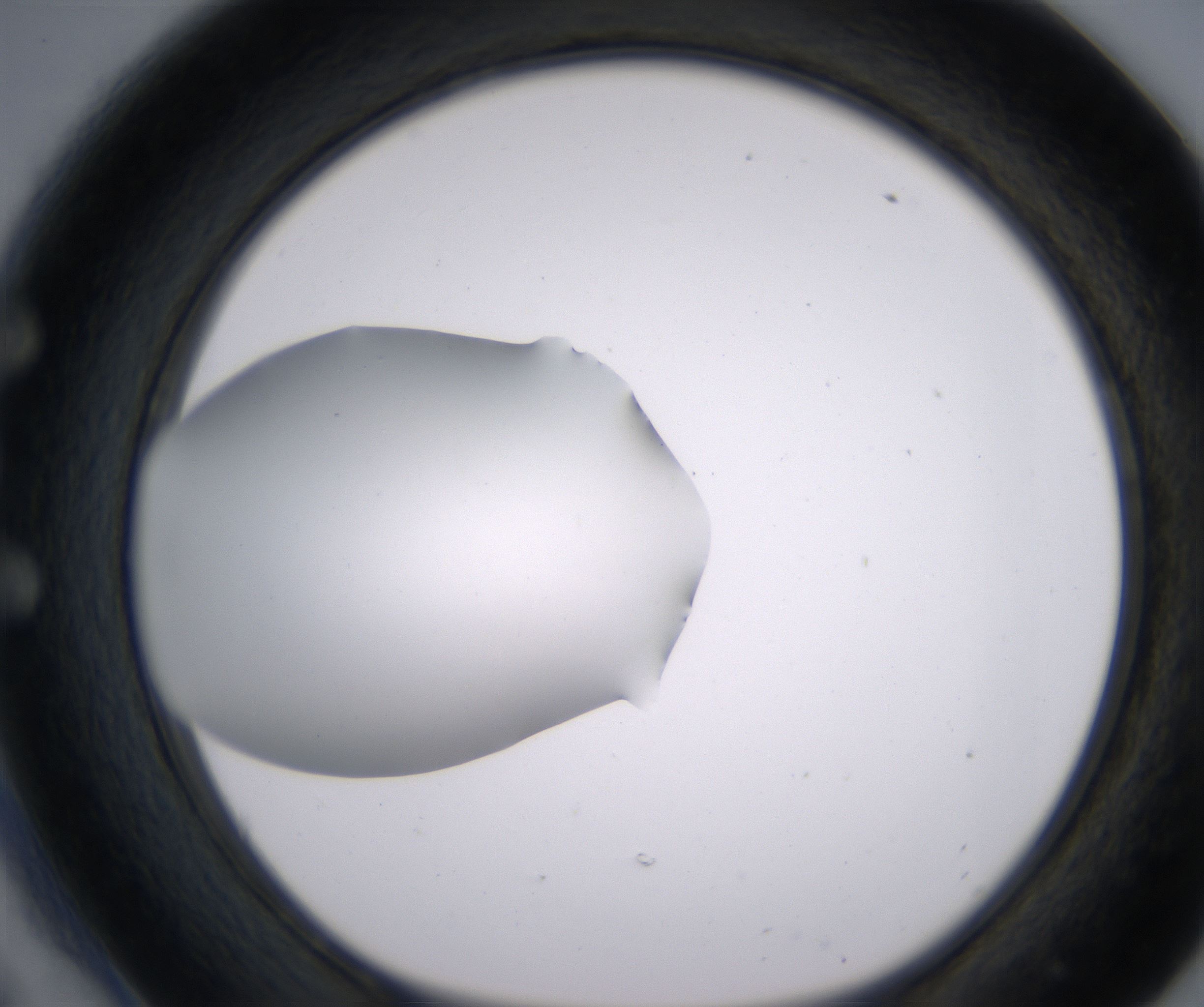 E6_HighResolution_Clear_1.jpg