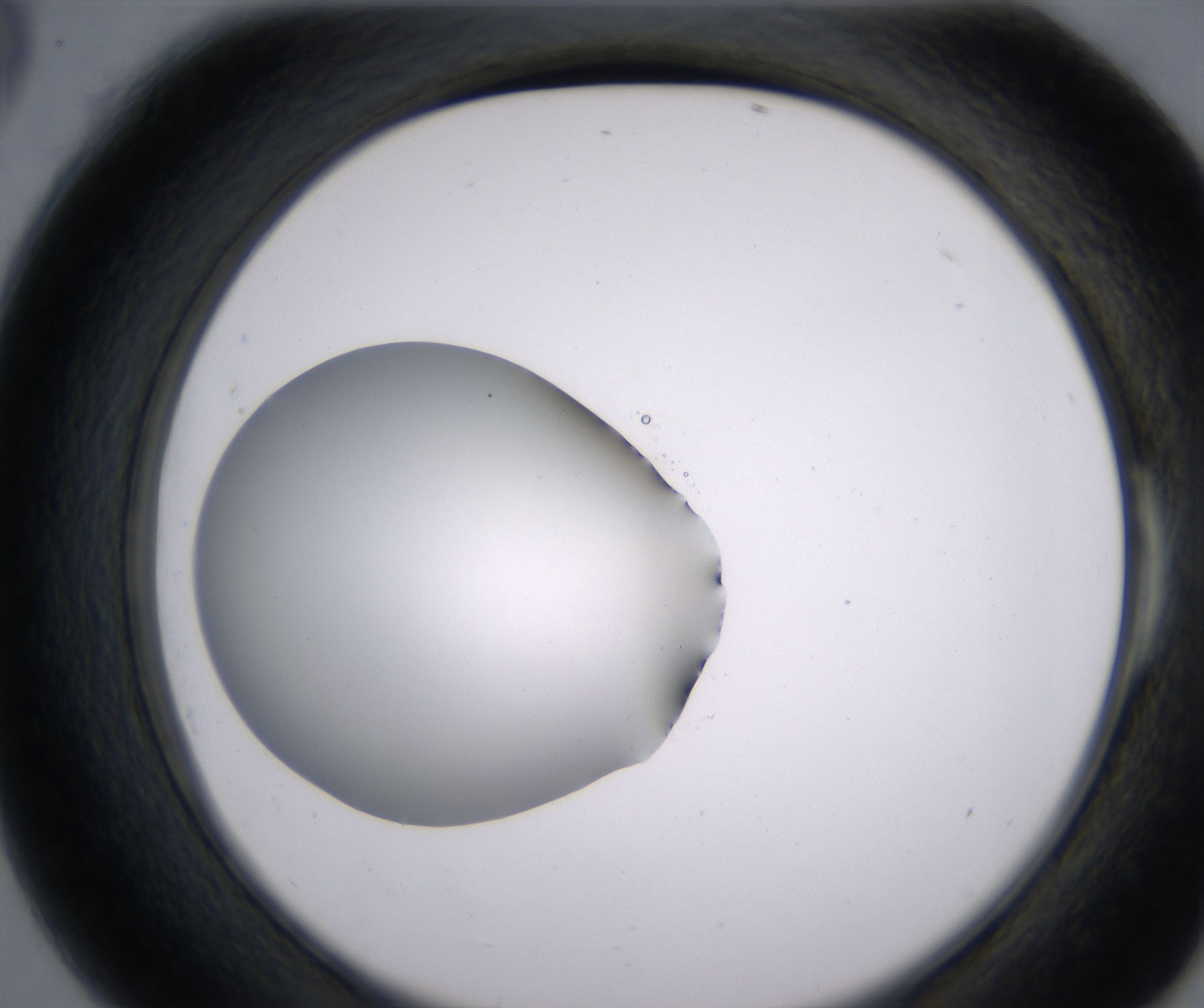 E6_HighResolution_Clear_2.jpg