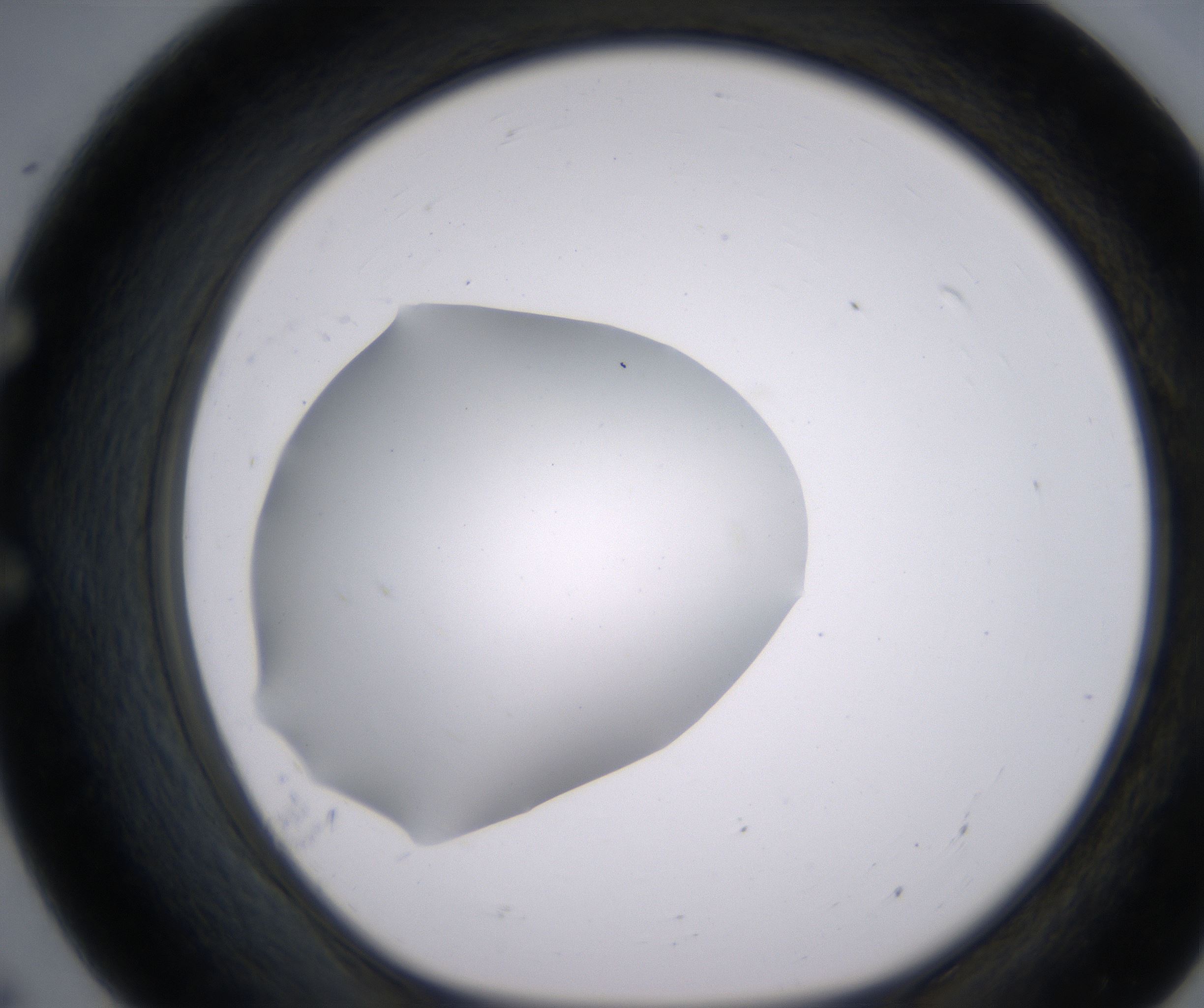 E7_HighResolution_Clear_1.jpg