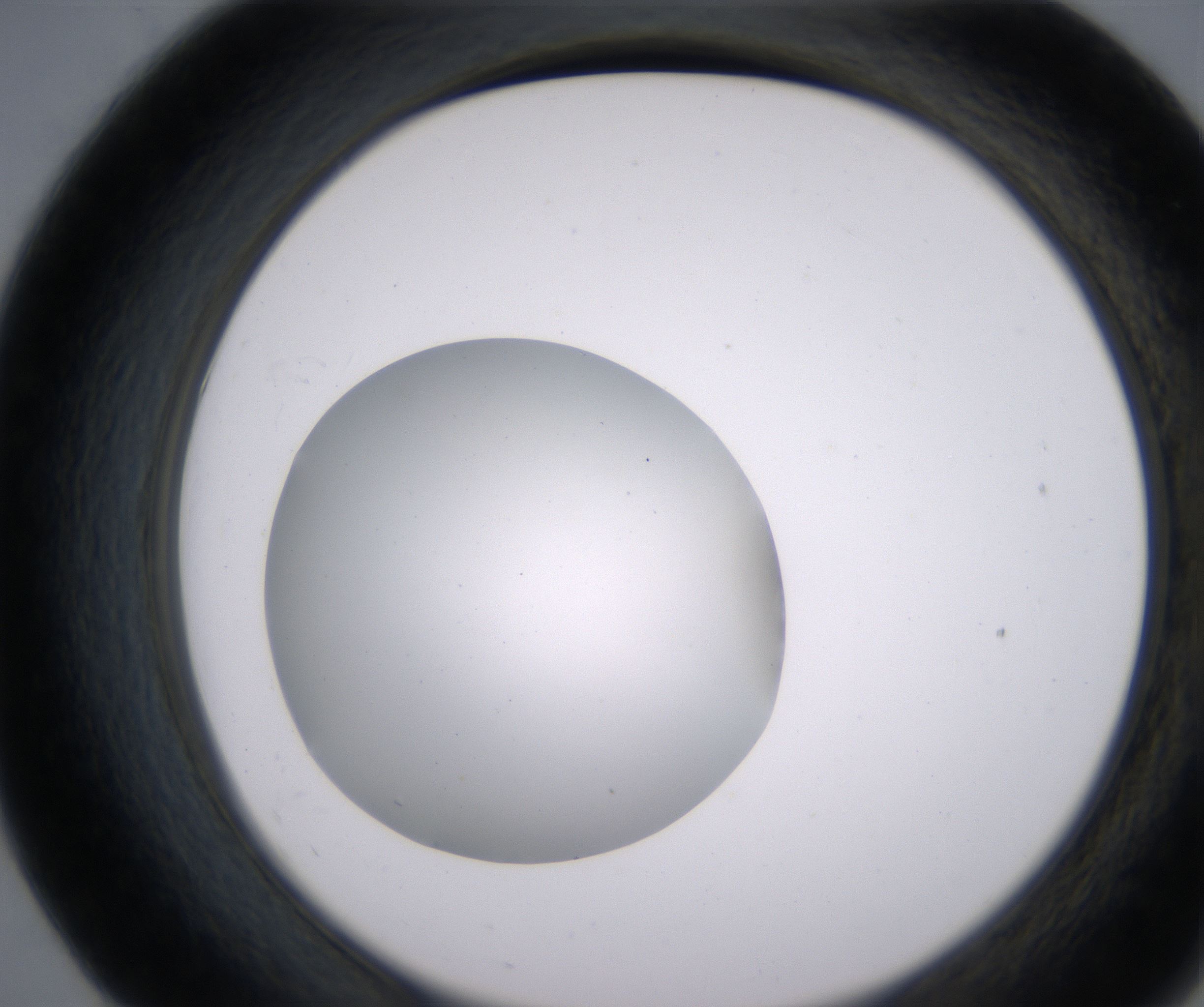 E7_HighResolution_Clear_2.jpg