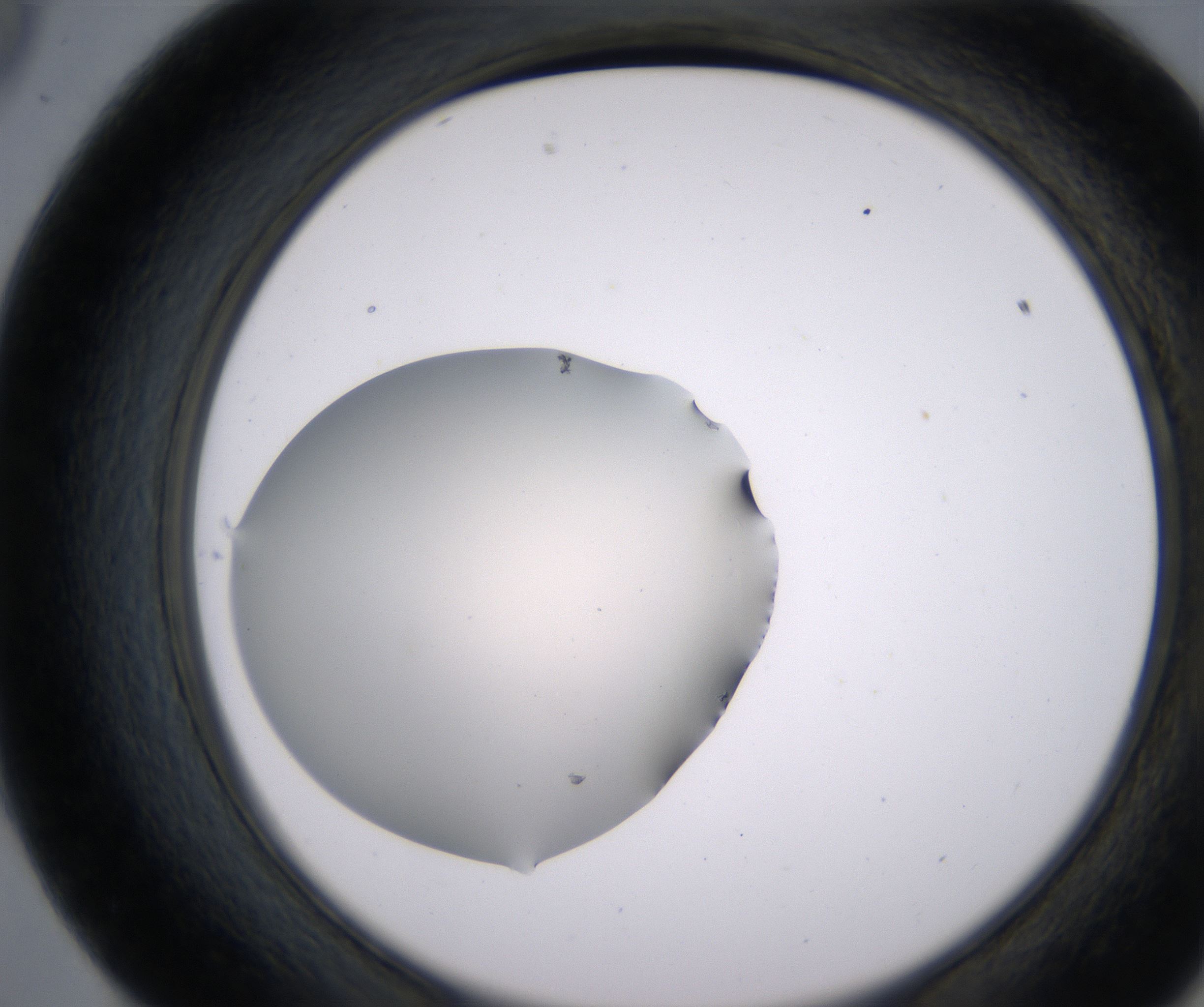 E9_HighResolution_Clear_2.jpg