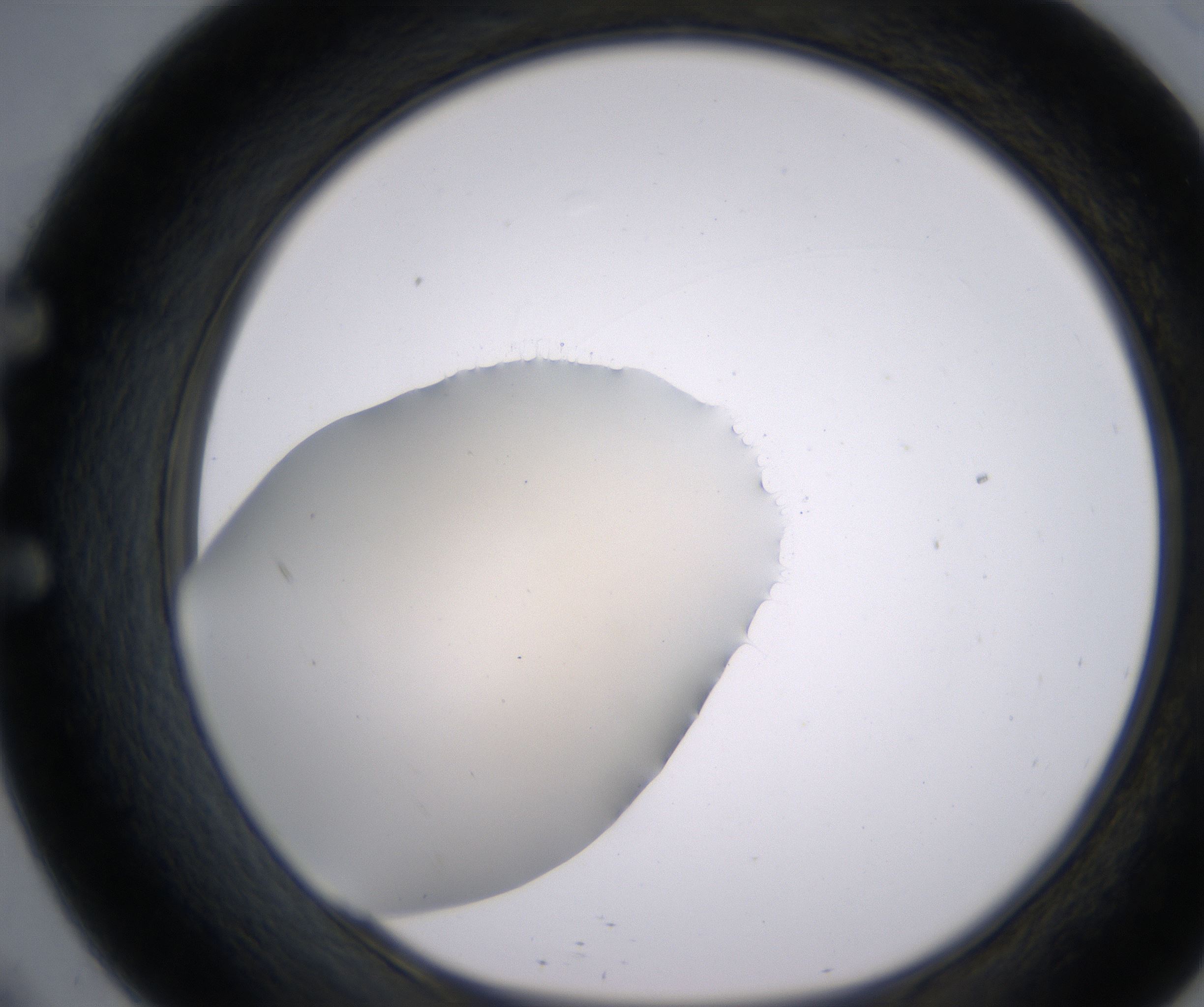 E9_HighResolution_Precipitate_1.jpg