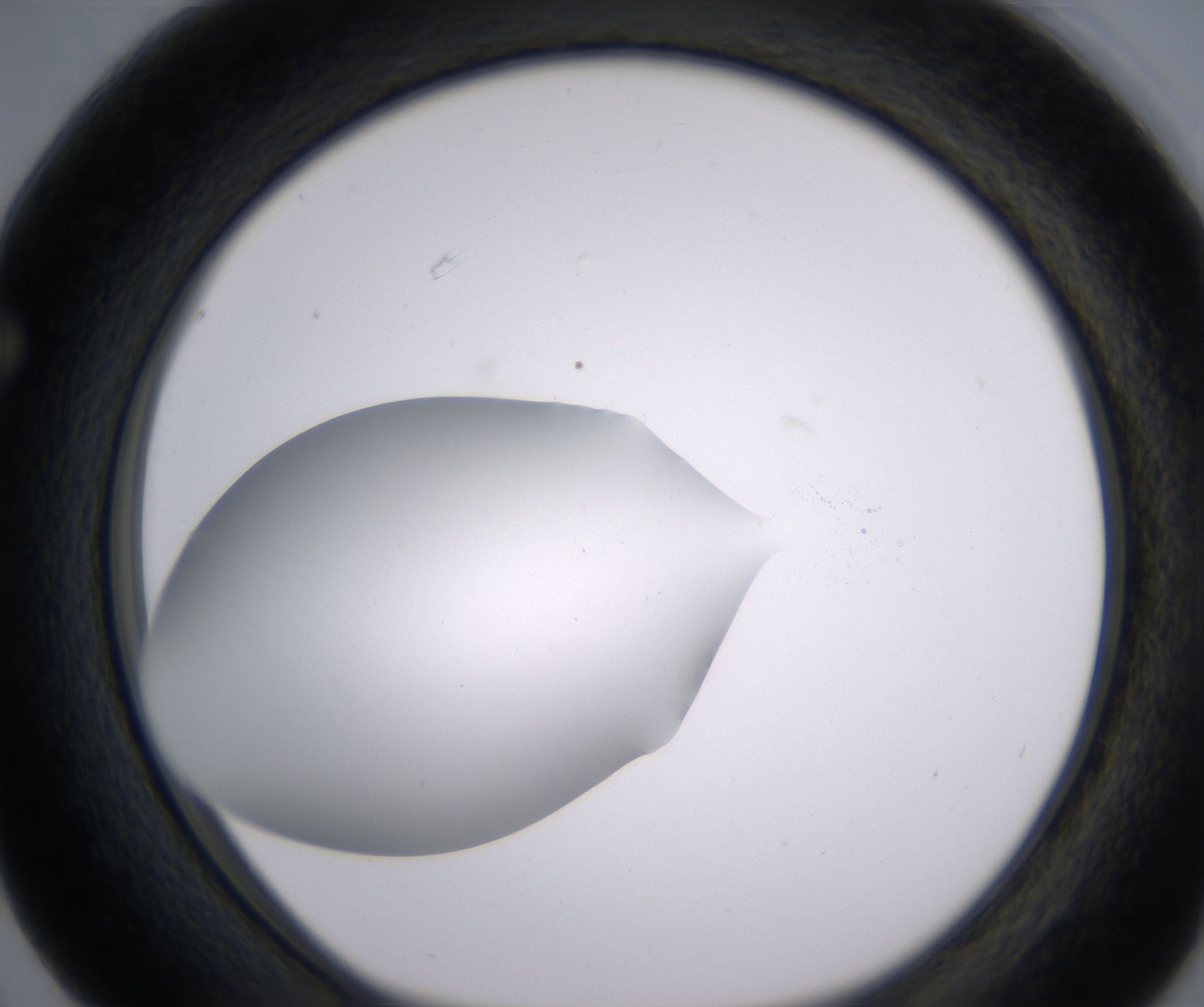 F3_HighResolution_Clear_1.jpg