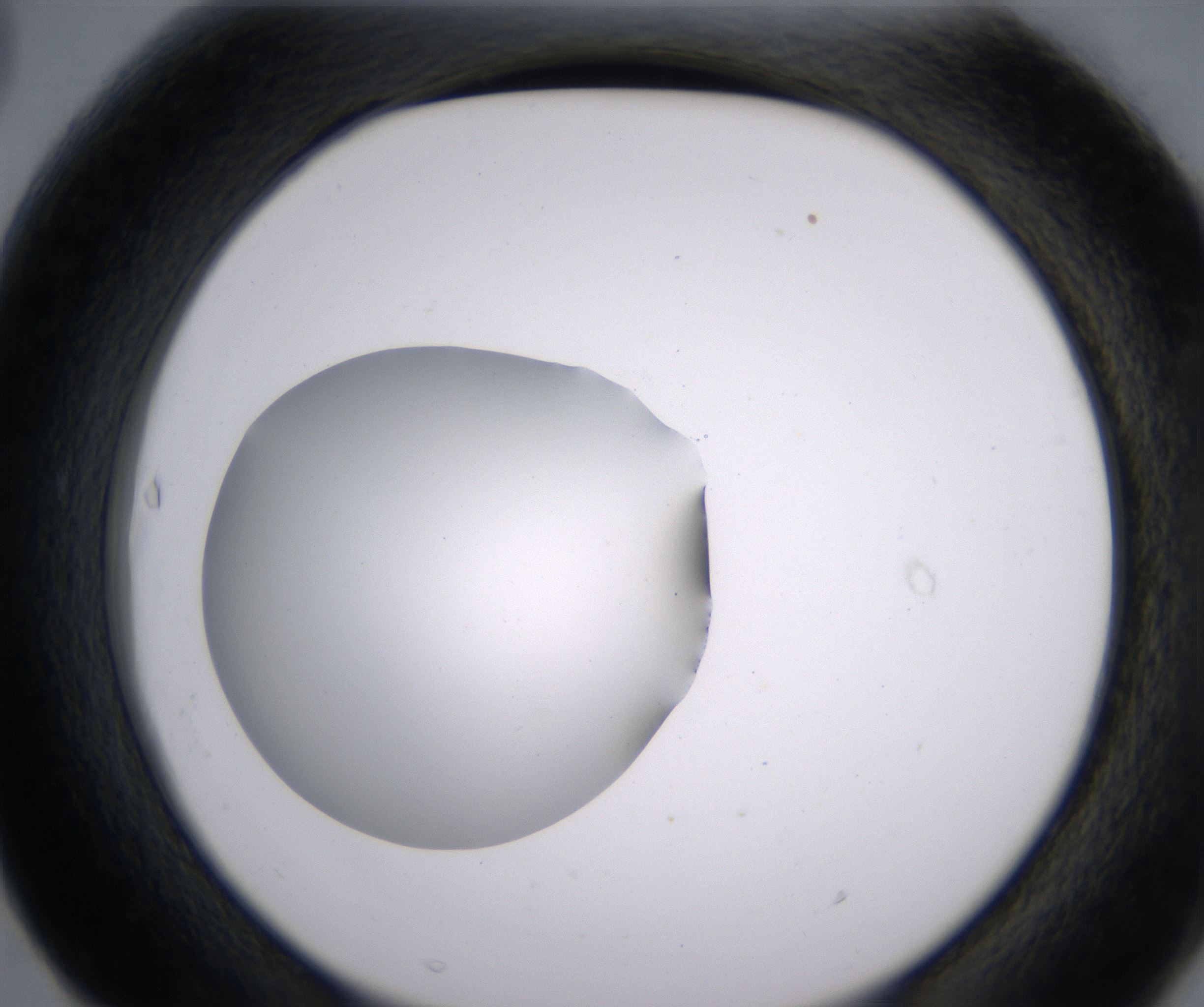 F3_HighResolution_Clear_2.jpg