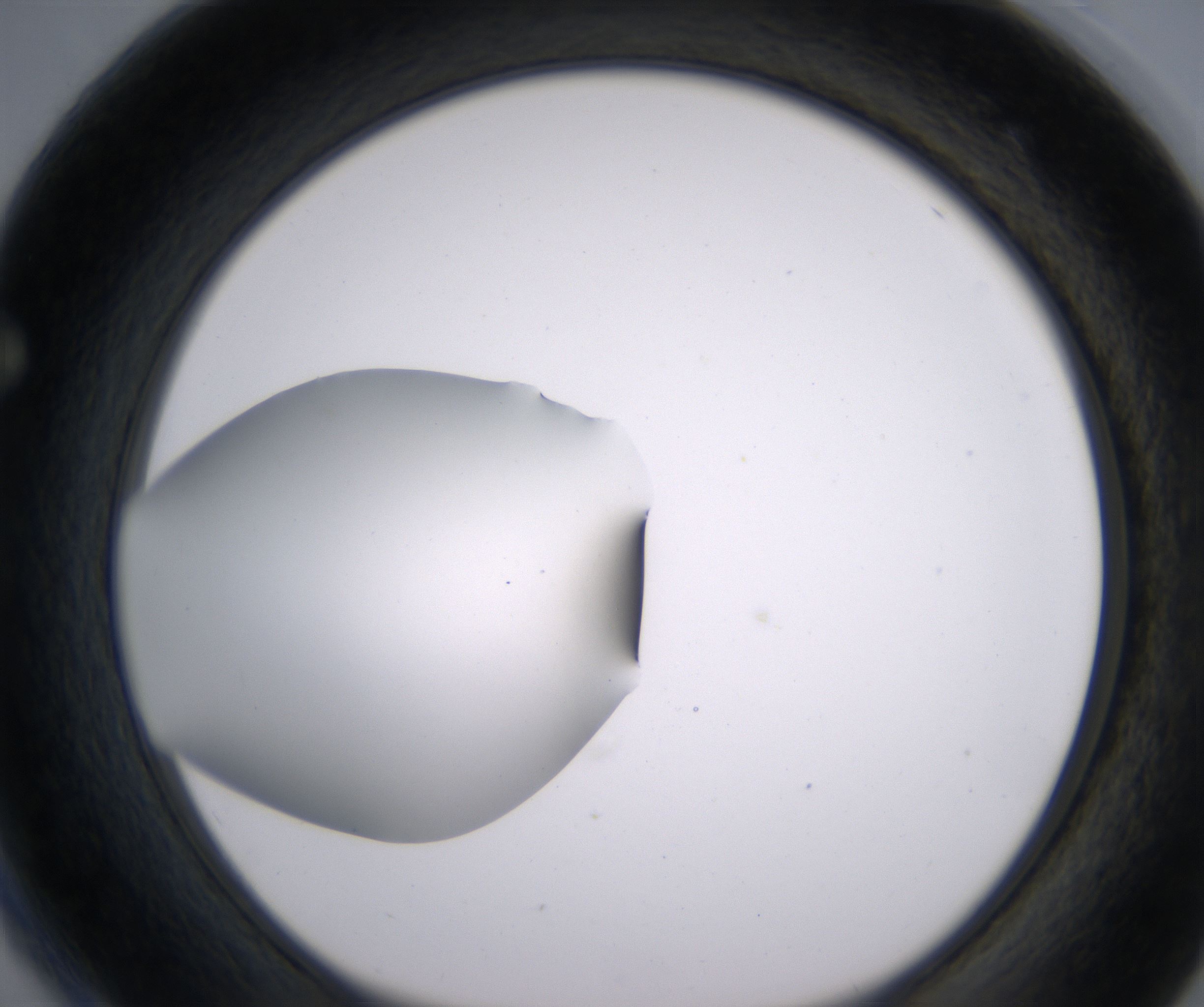 F4_HighResolution_Clear_1.jpg