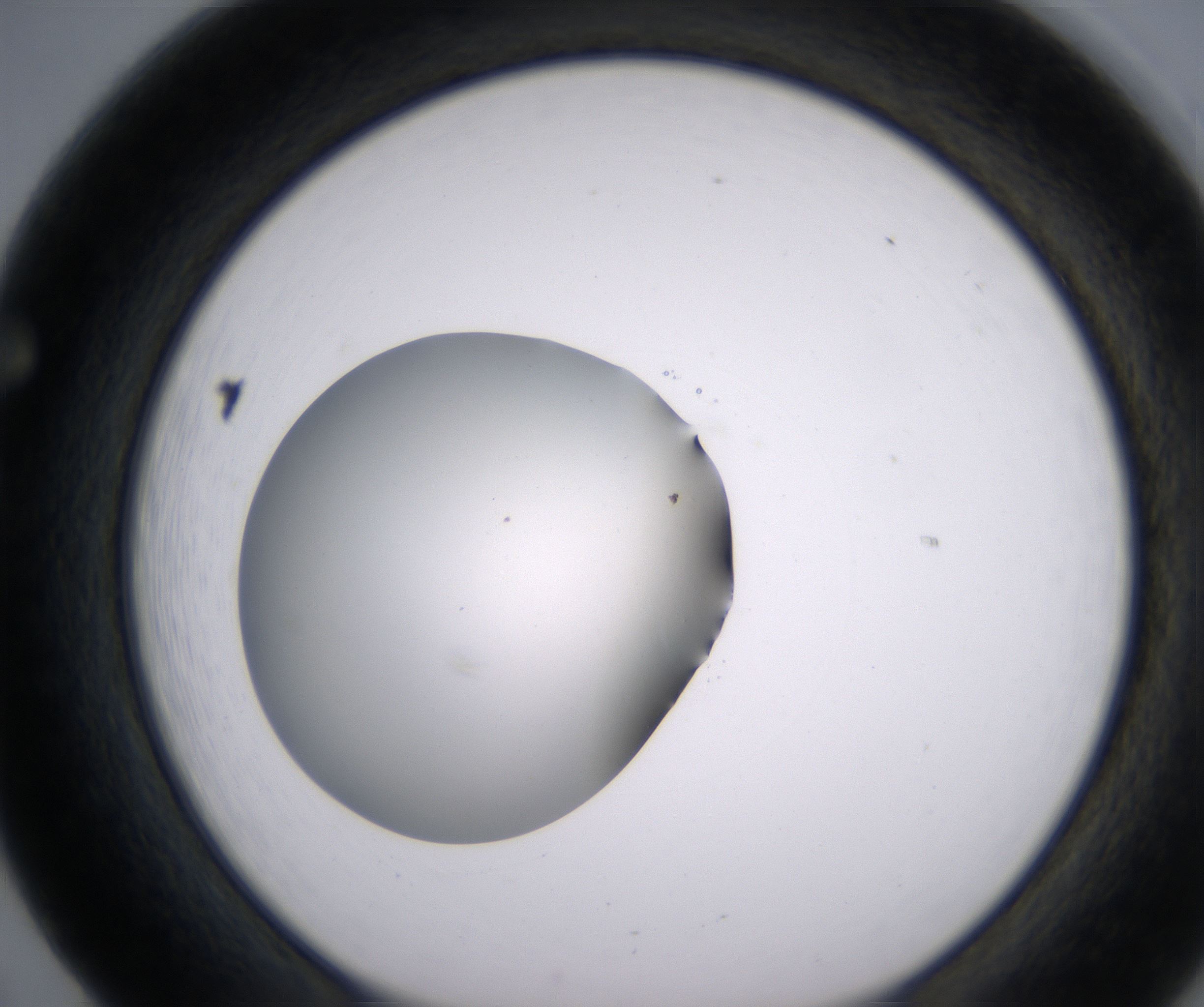 F5_HighResolution_Clear_1.jpg