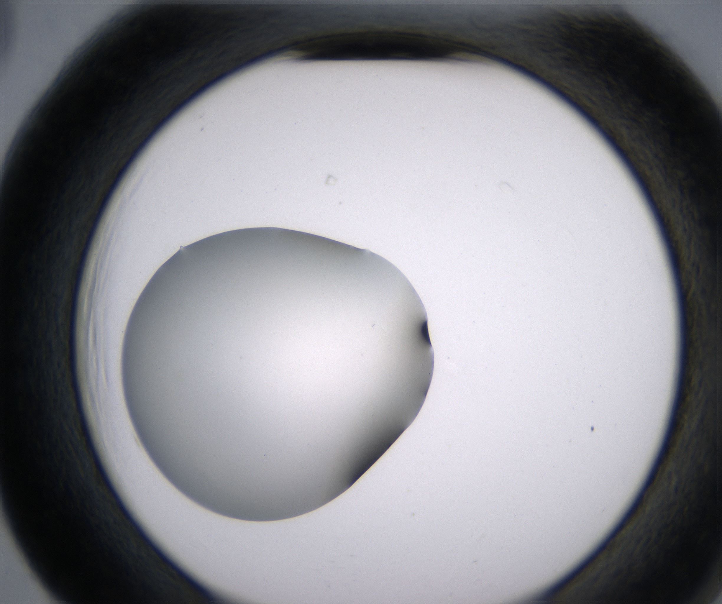 F5_HighResolution_Clear_2.jpg