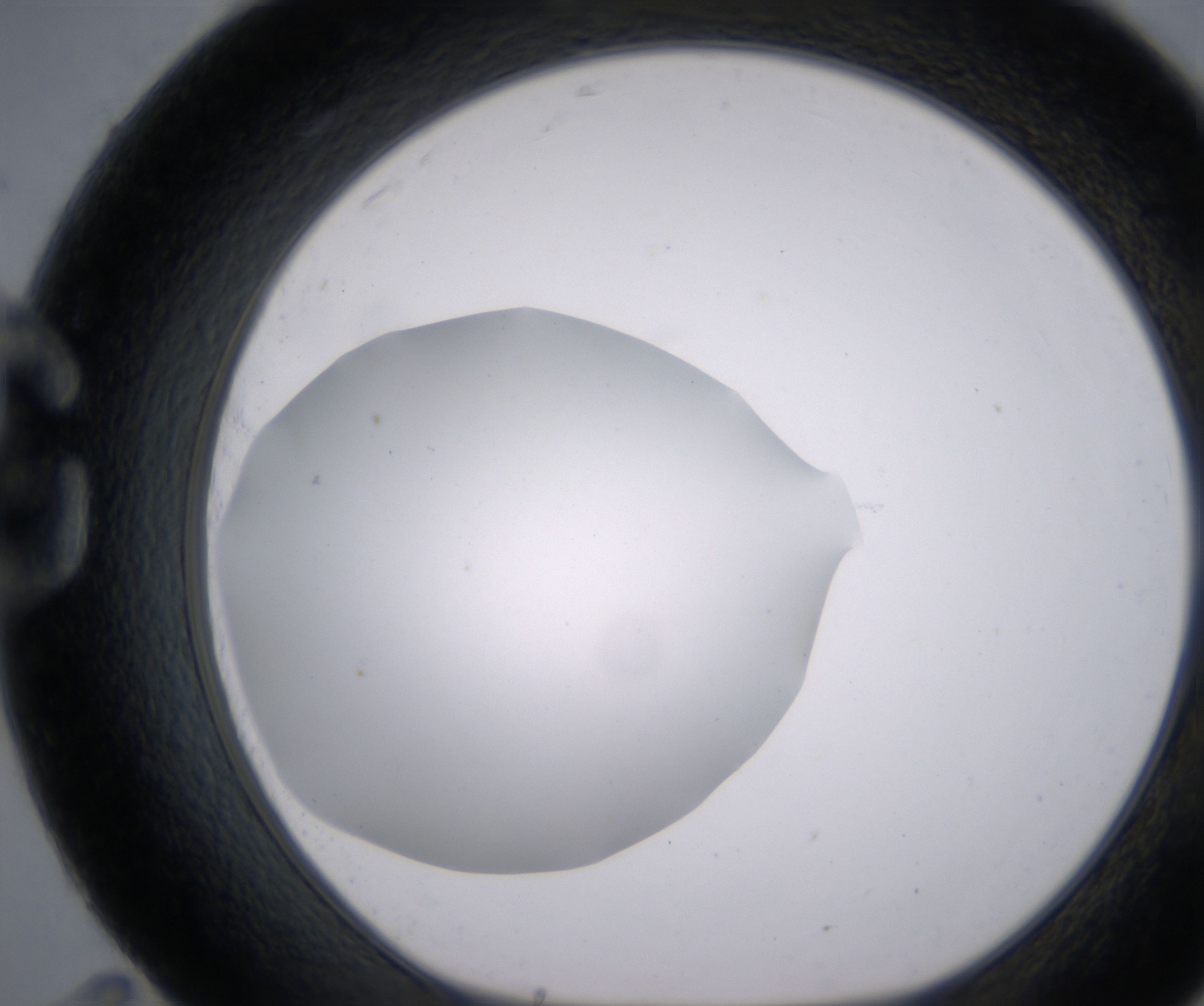 G11_HighResolution_Clear_1.jpg