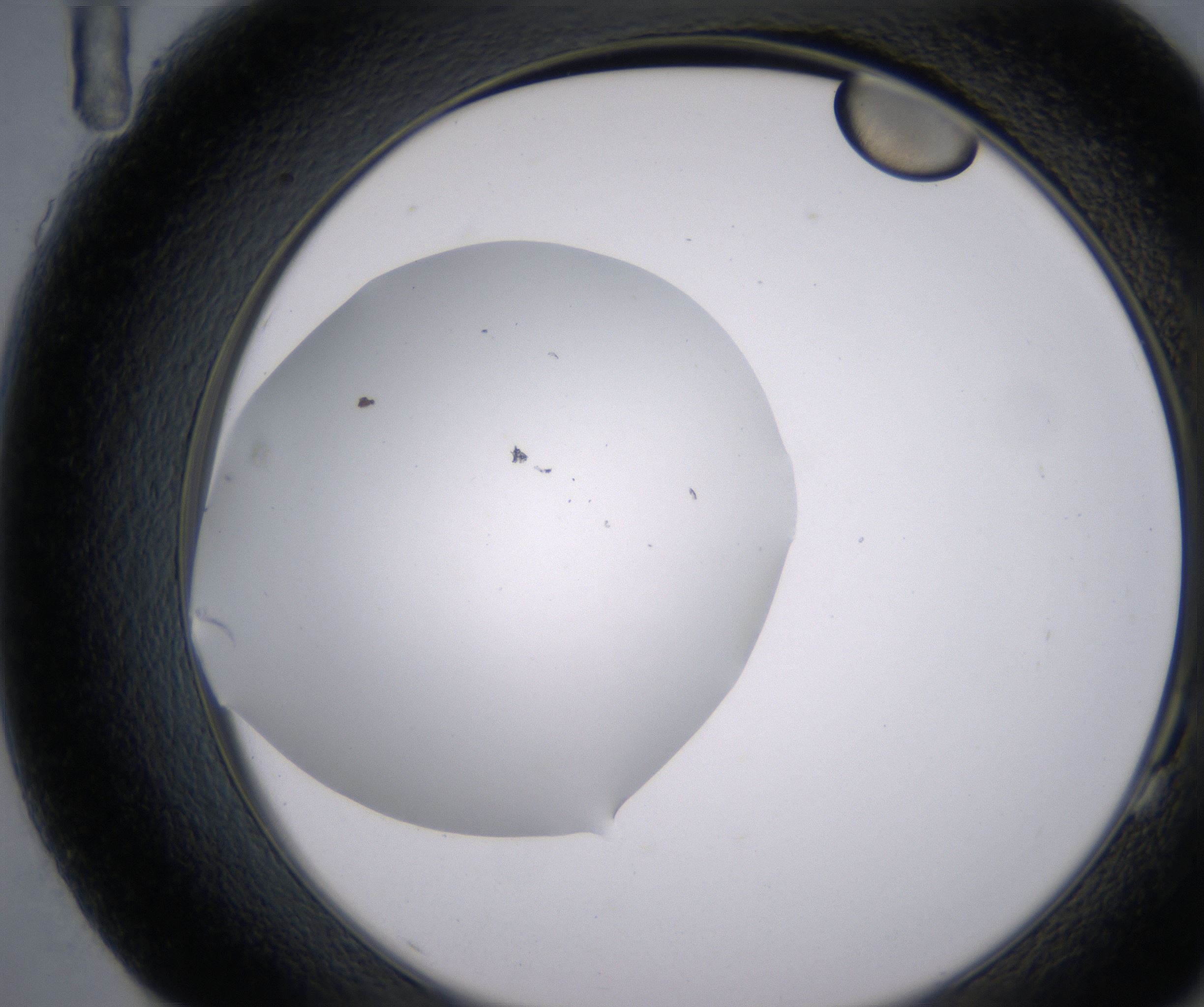 G11_HighResolution_Clear_2.jpg