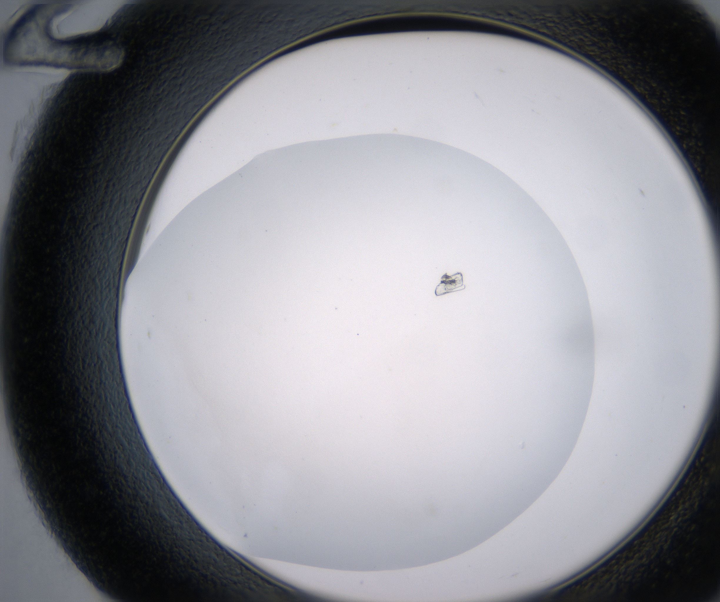 G12_HighResolution_Clear_2.jpg