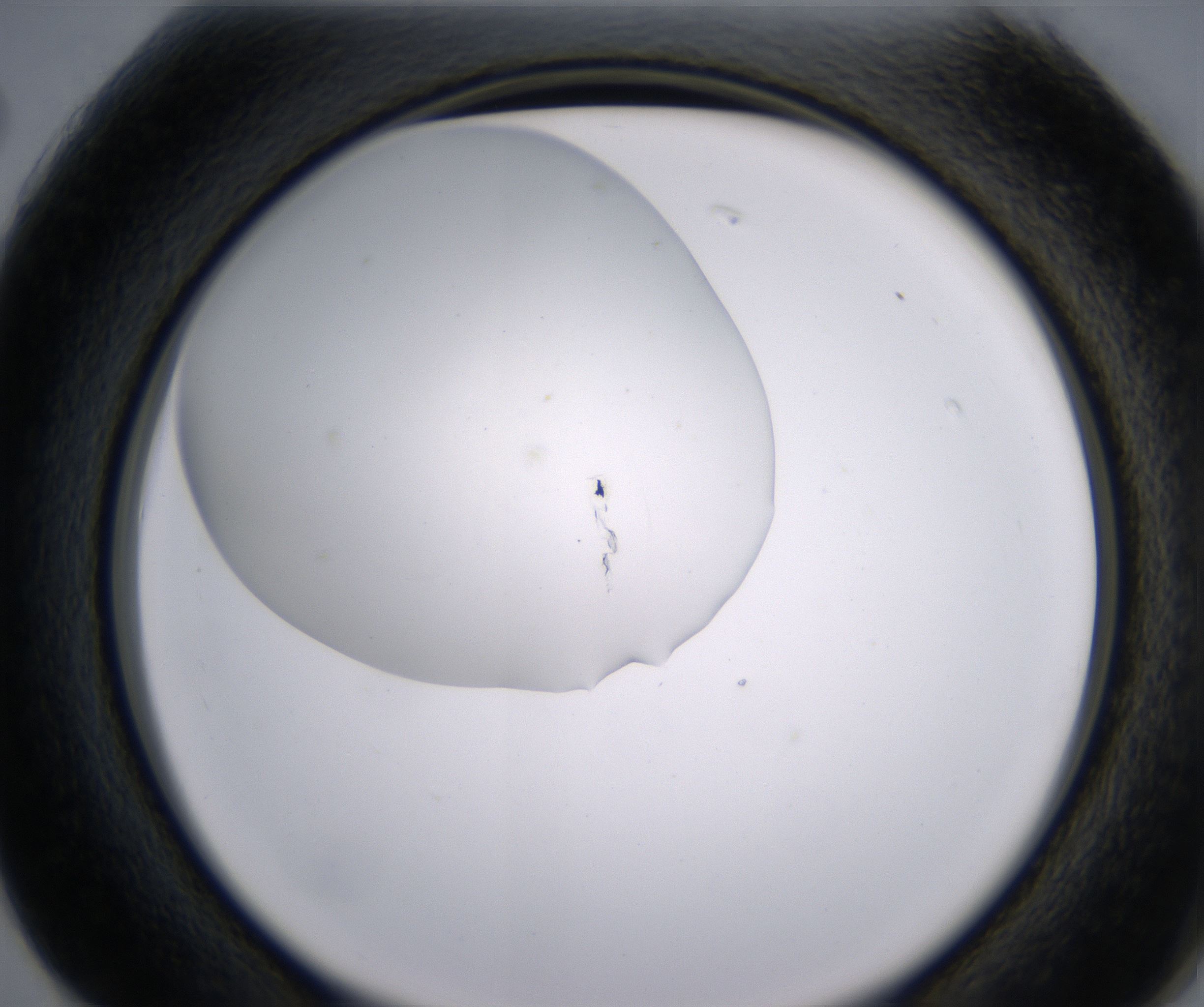 G2_HighResolution_Clear_2.jpg