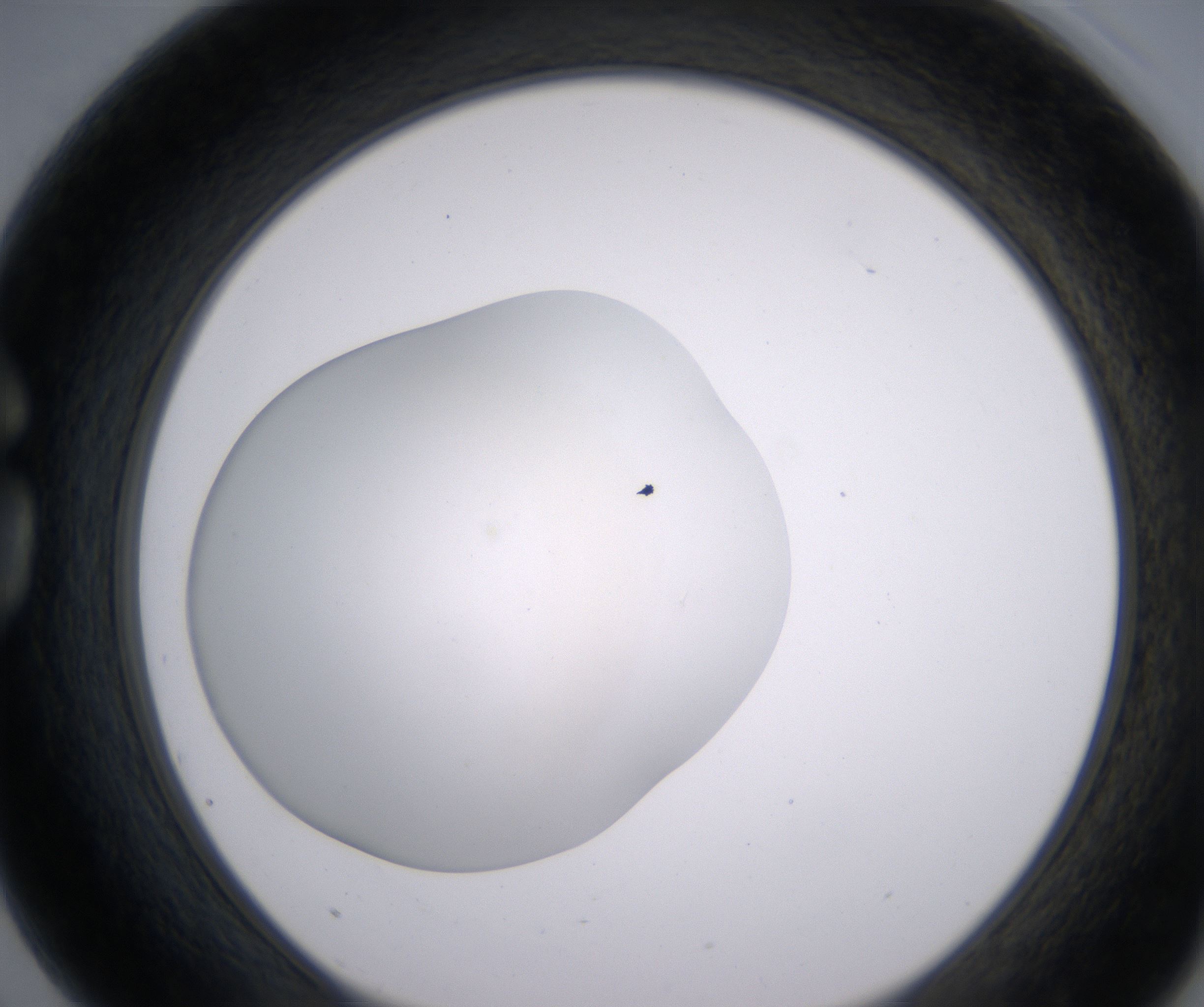 G3_HighResolution_Clear_1.jpg