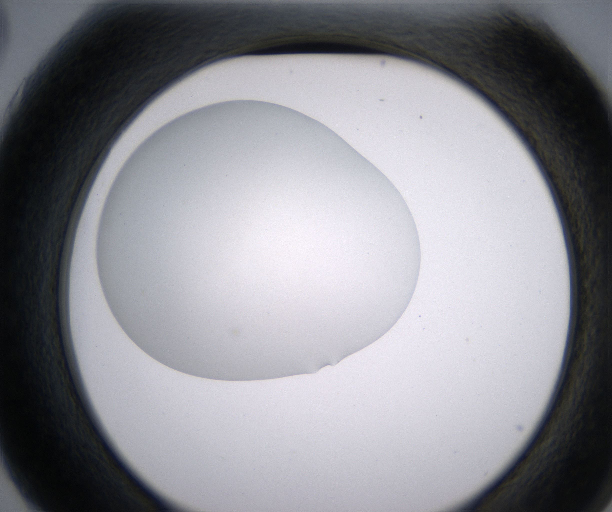 G3_HighResolution_Clear_2.jpg