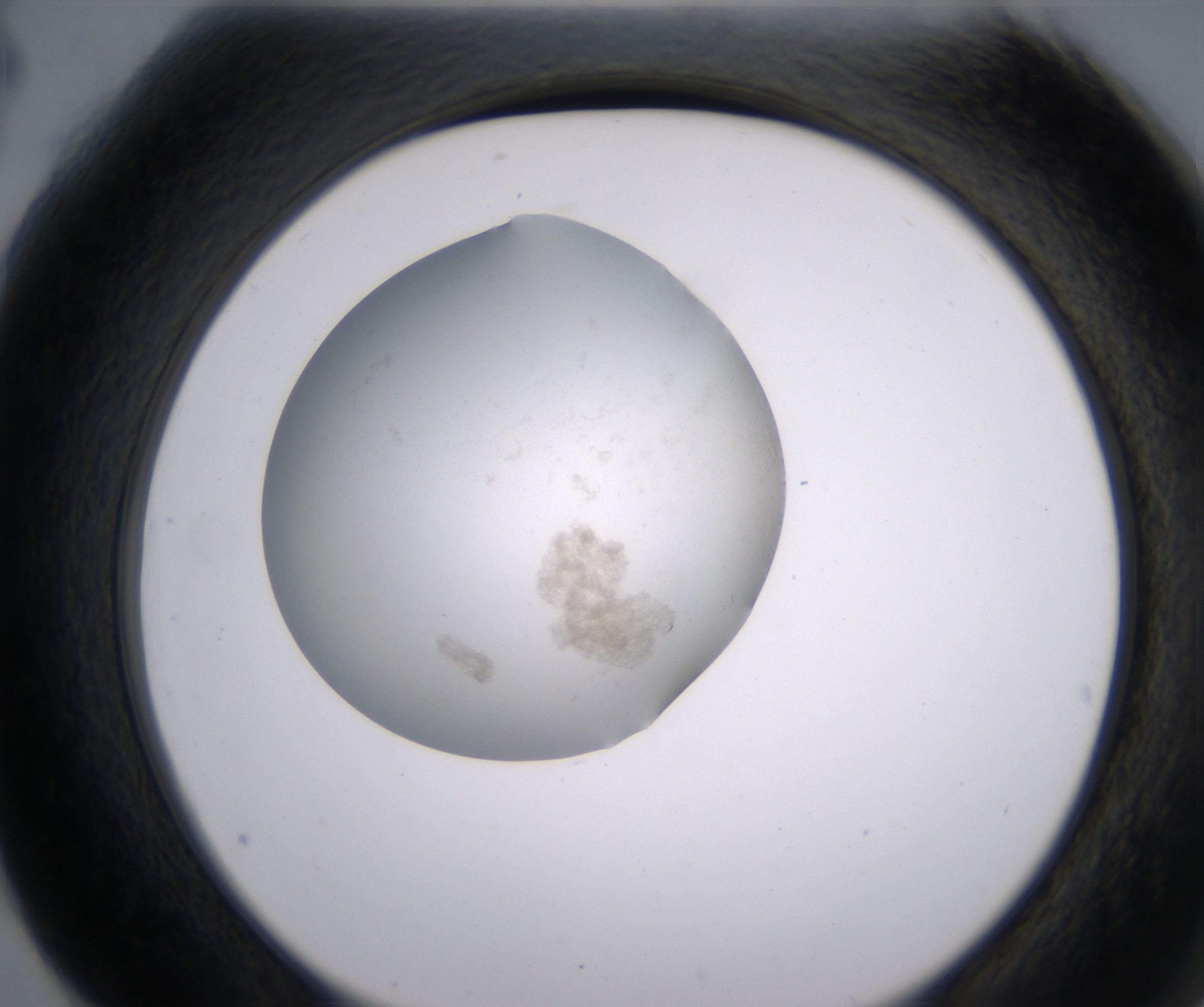 G4_HighResolution_Precipitate_2.jpg