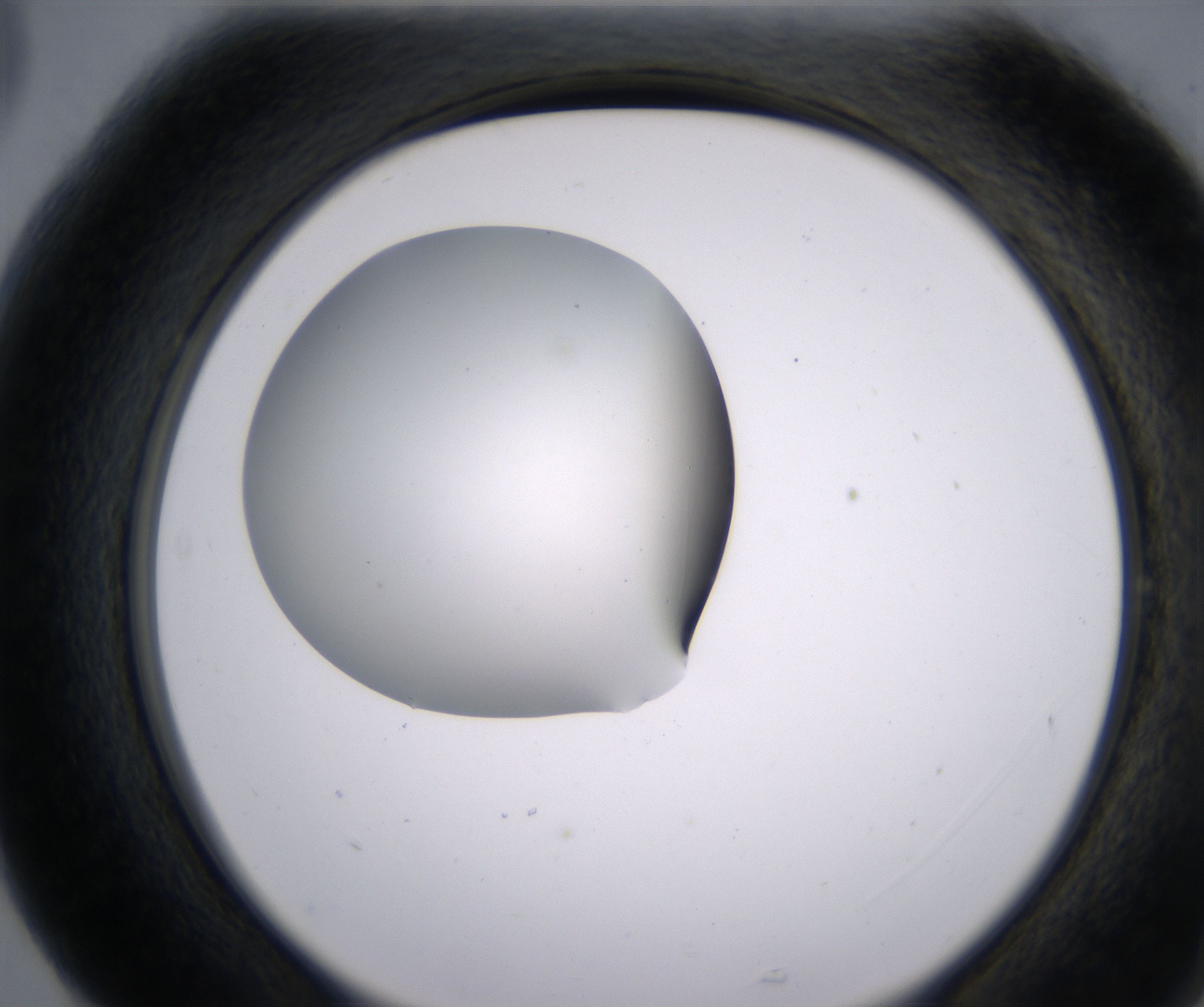 G5_HighResolution_Clear_2.jpg