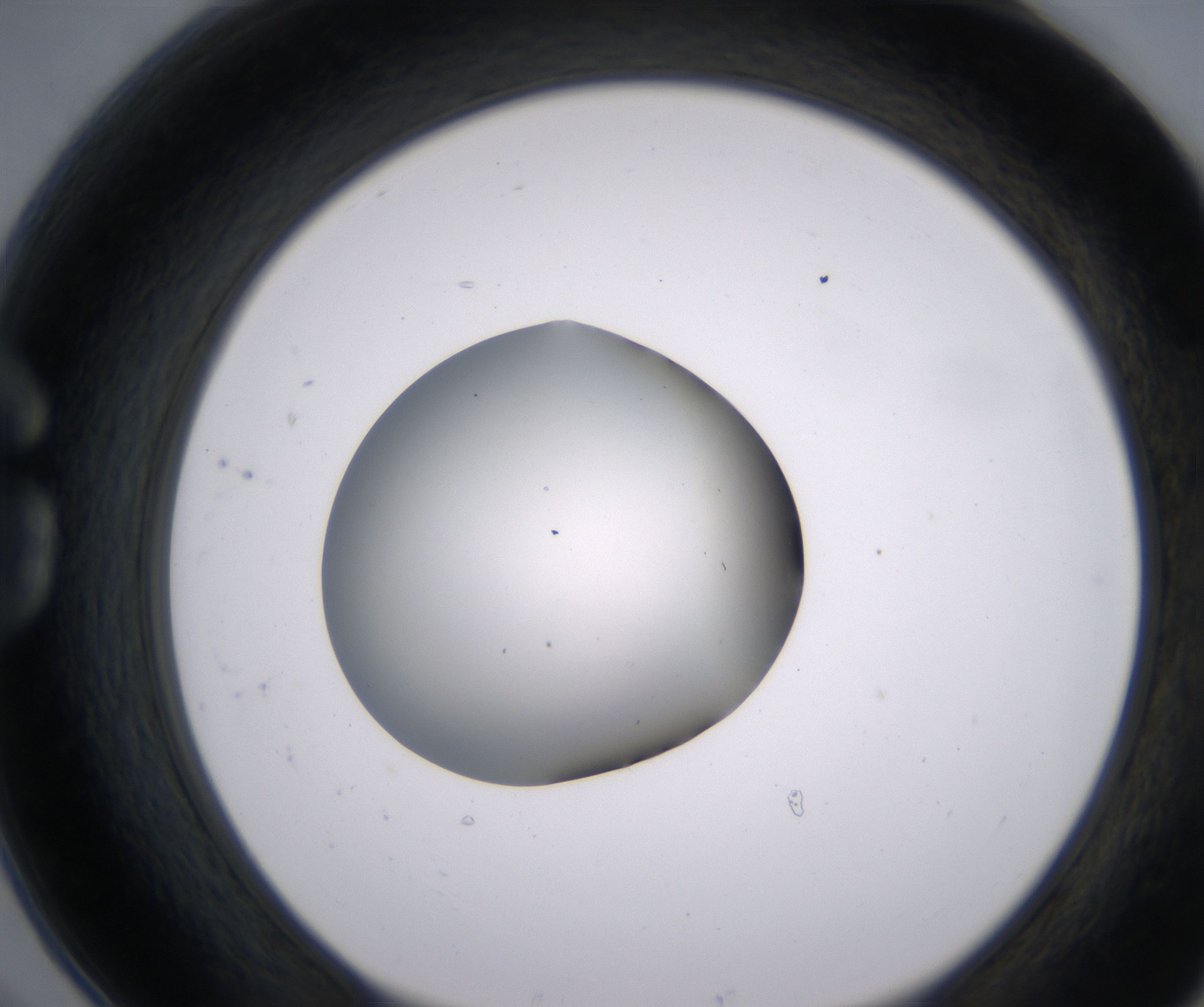 G6_HighResolution_Clear_1.jpg