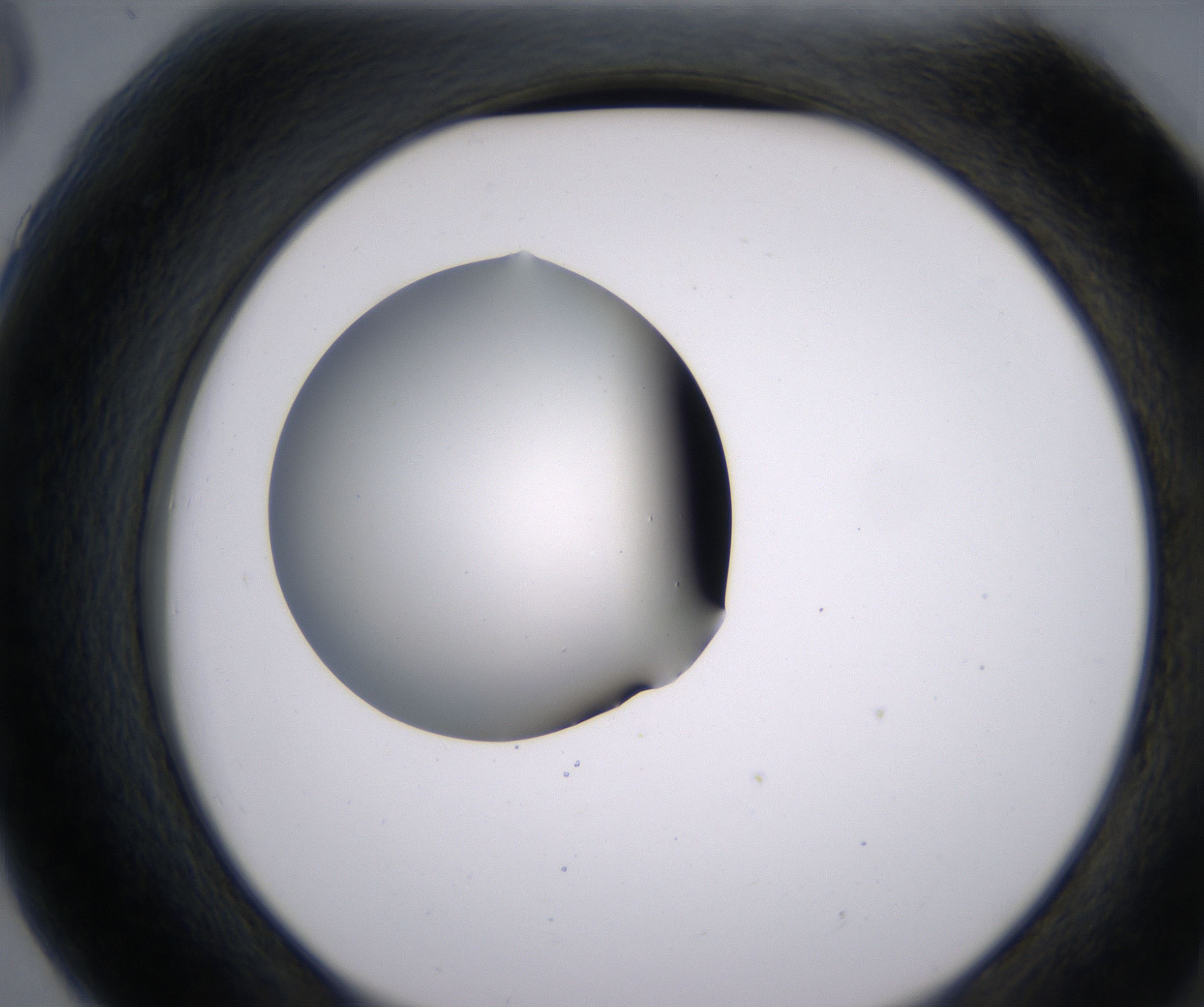 G6_HighResolution_Clear_2.jpg