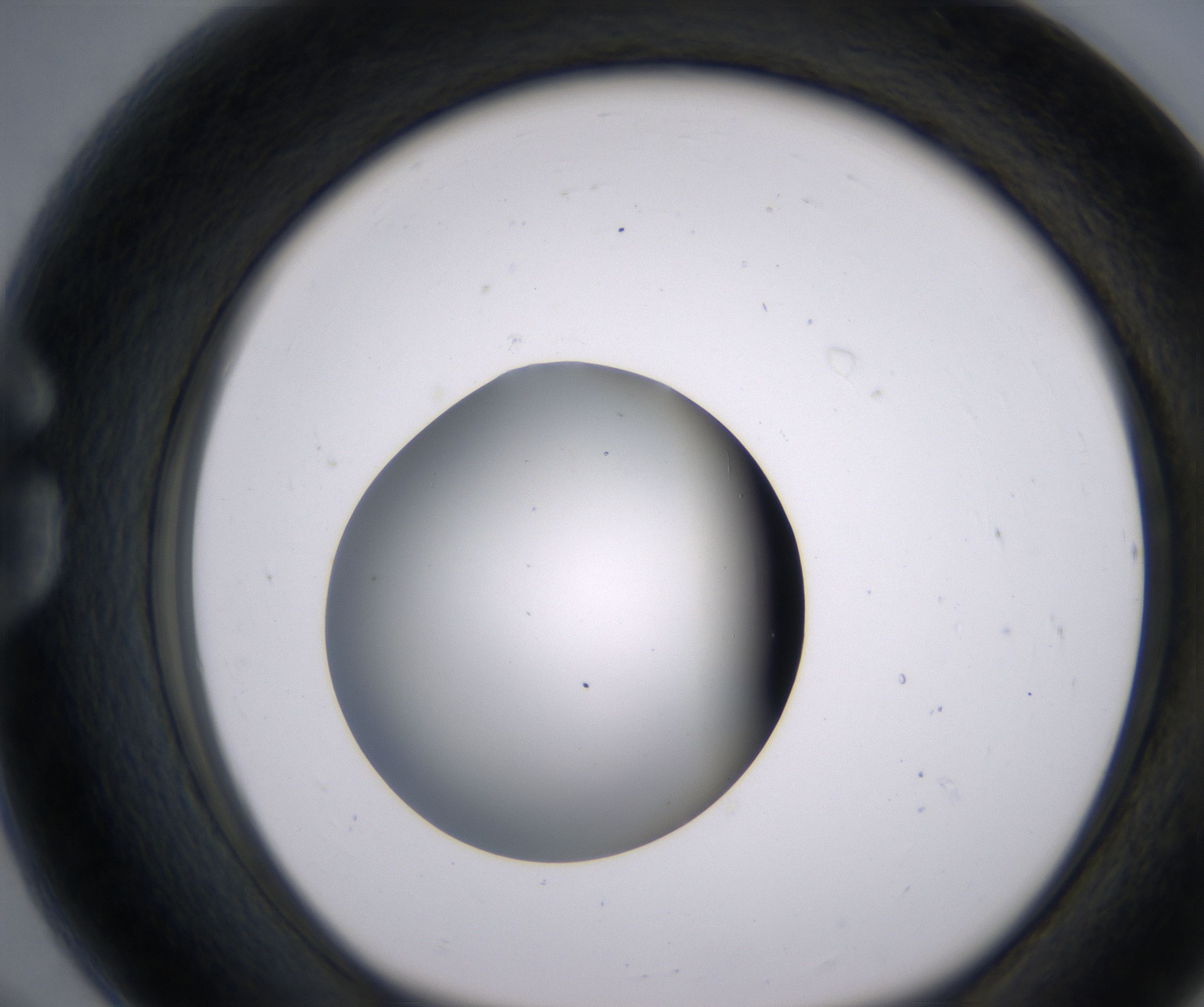 G8_HighResolution_Clear_1.jpg