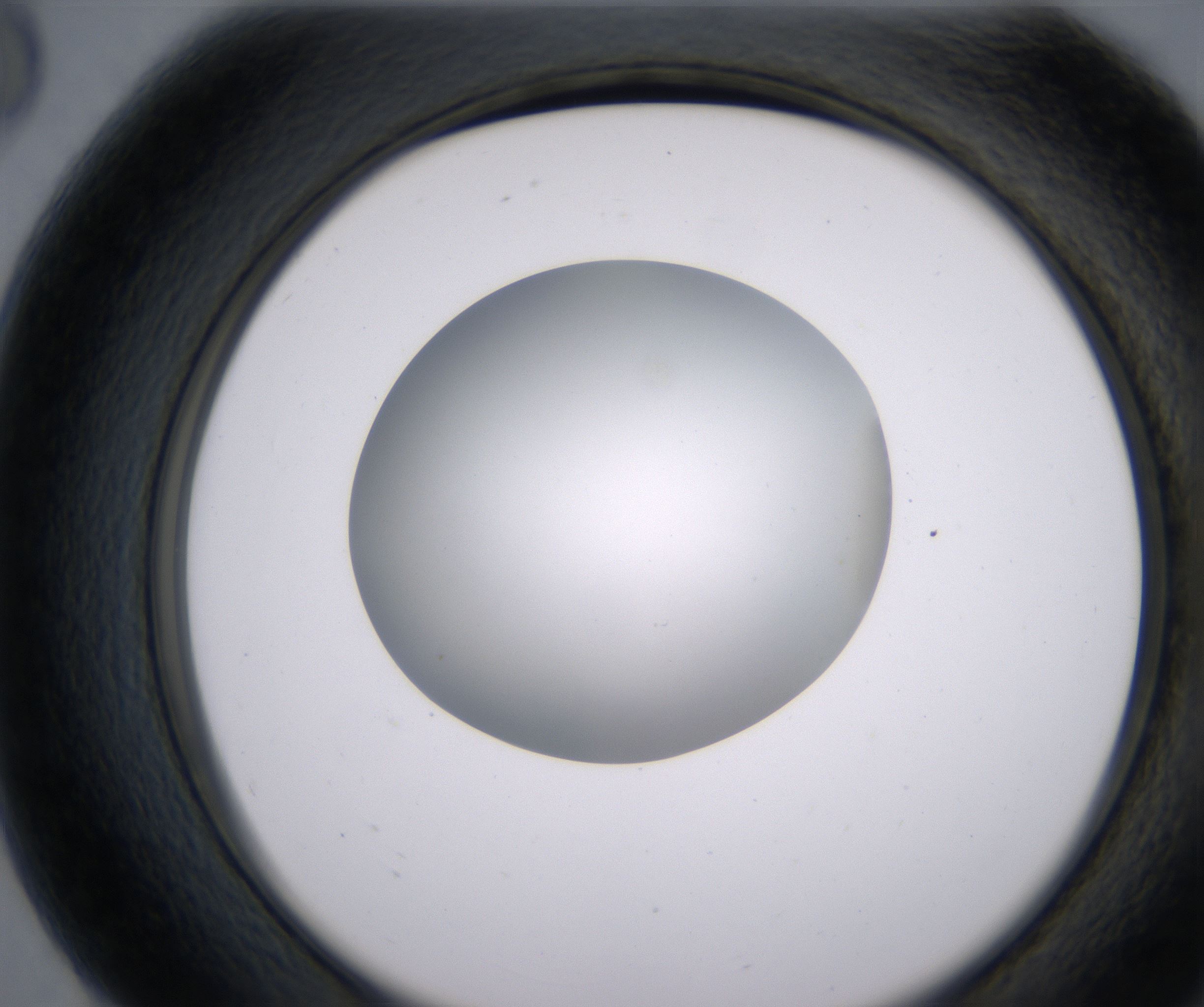 G8_HighResolution_Clear_2.jpg