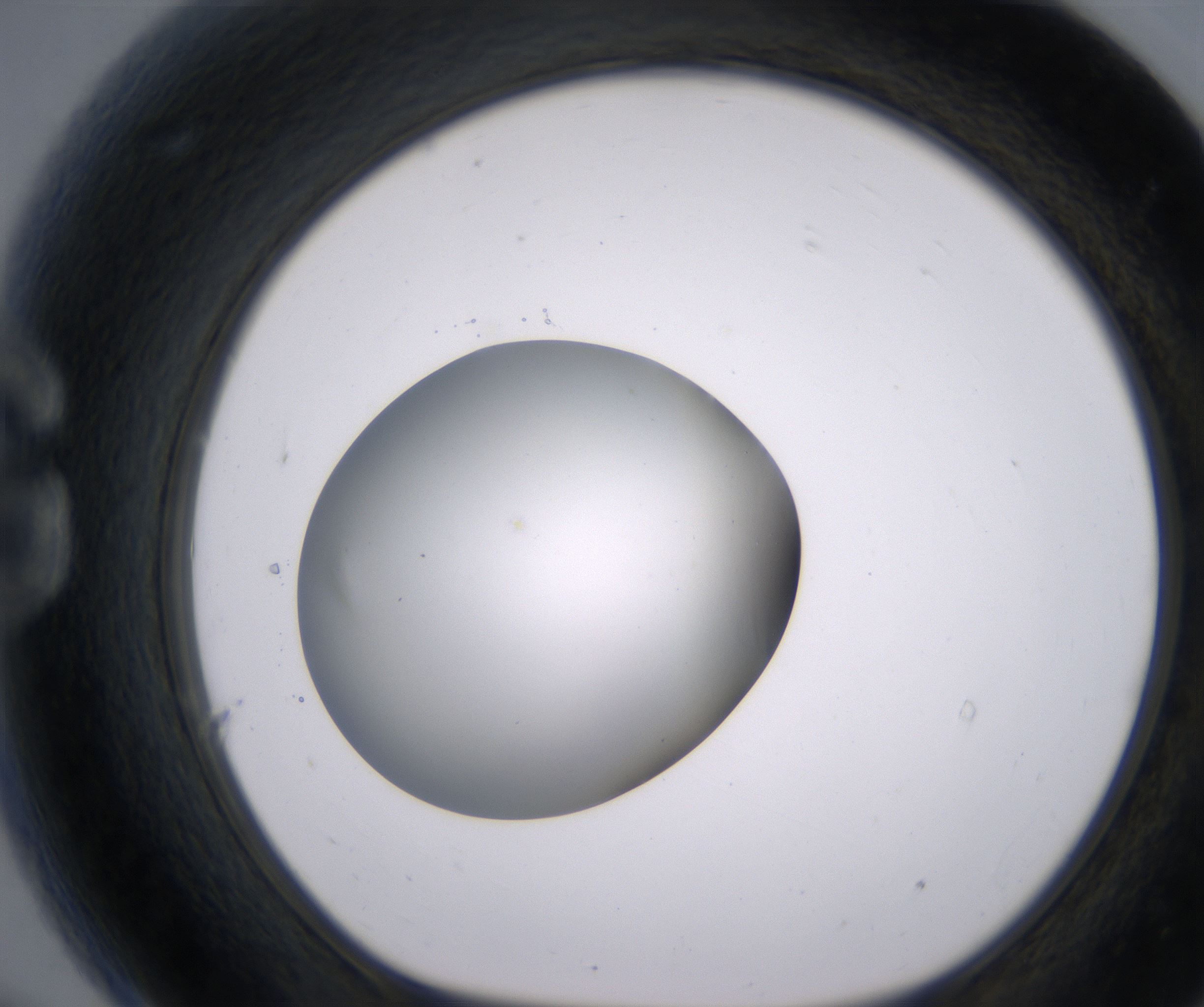 G9_HighResolution_Clear_1.jpg