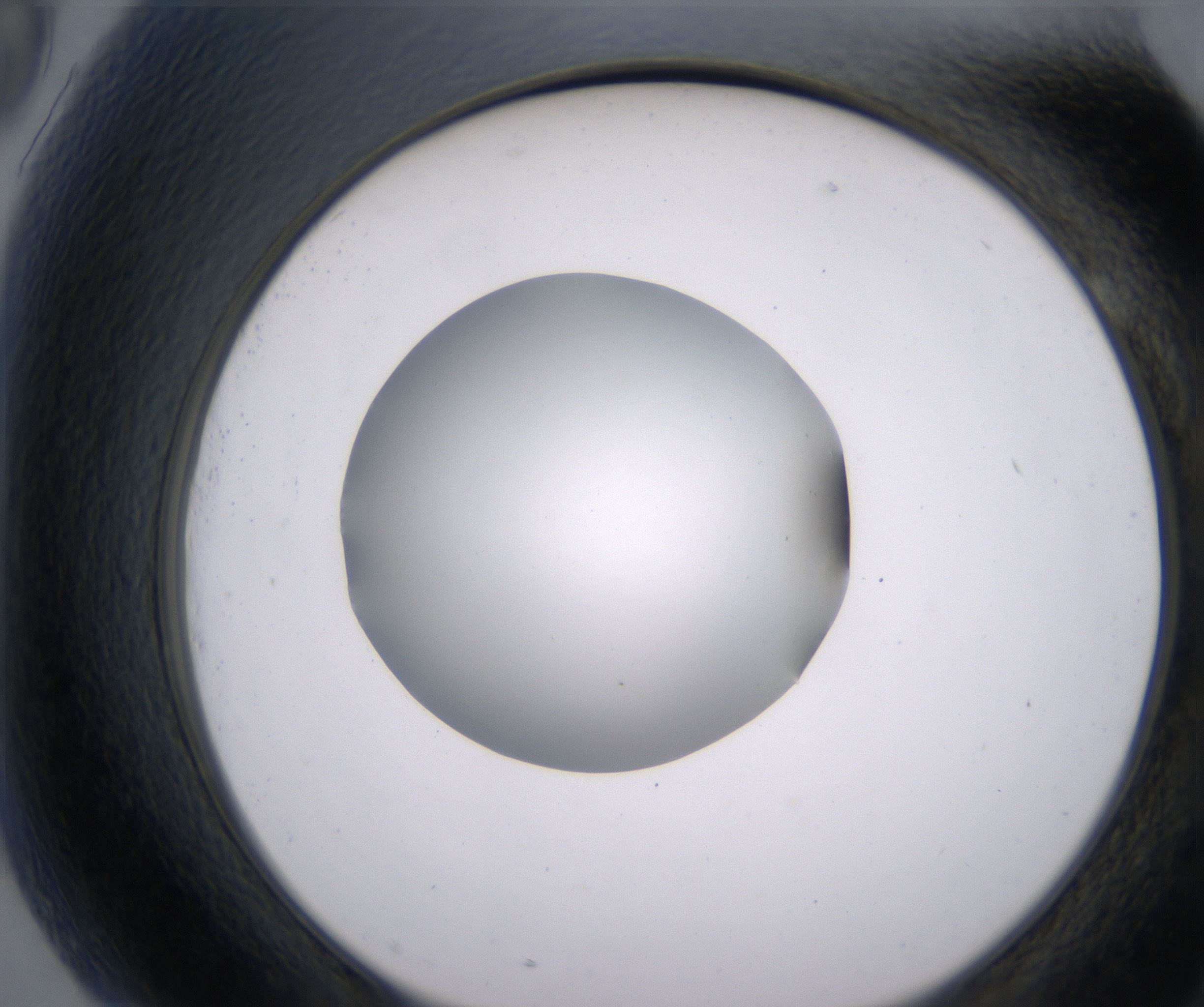 G9_HighResolution_Clear_2.jpg