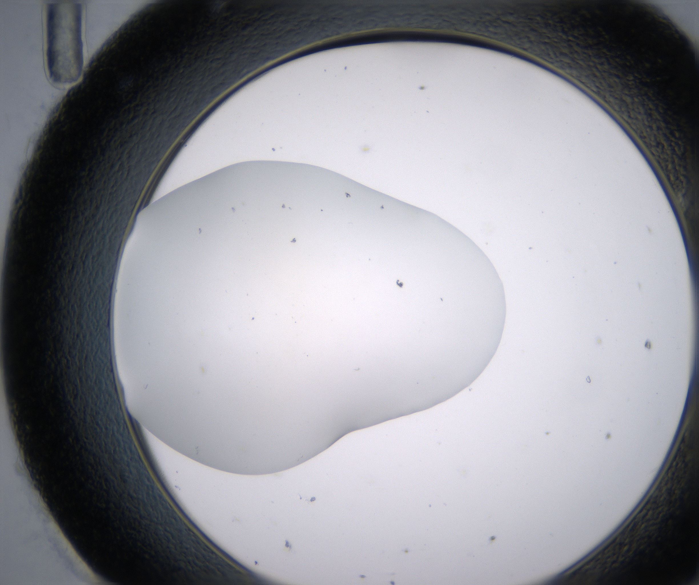 H11_HighResolution_Clear_2.jpg
