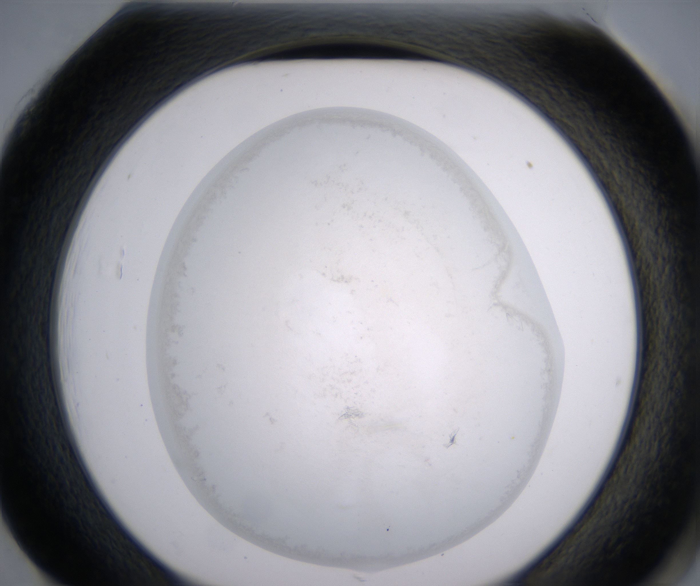 H1_HighResolution_Precipitate_2.jpg