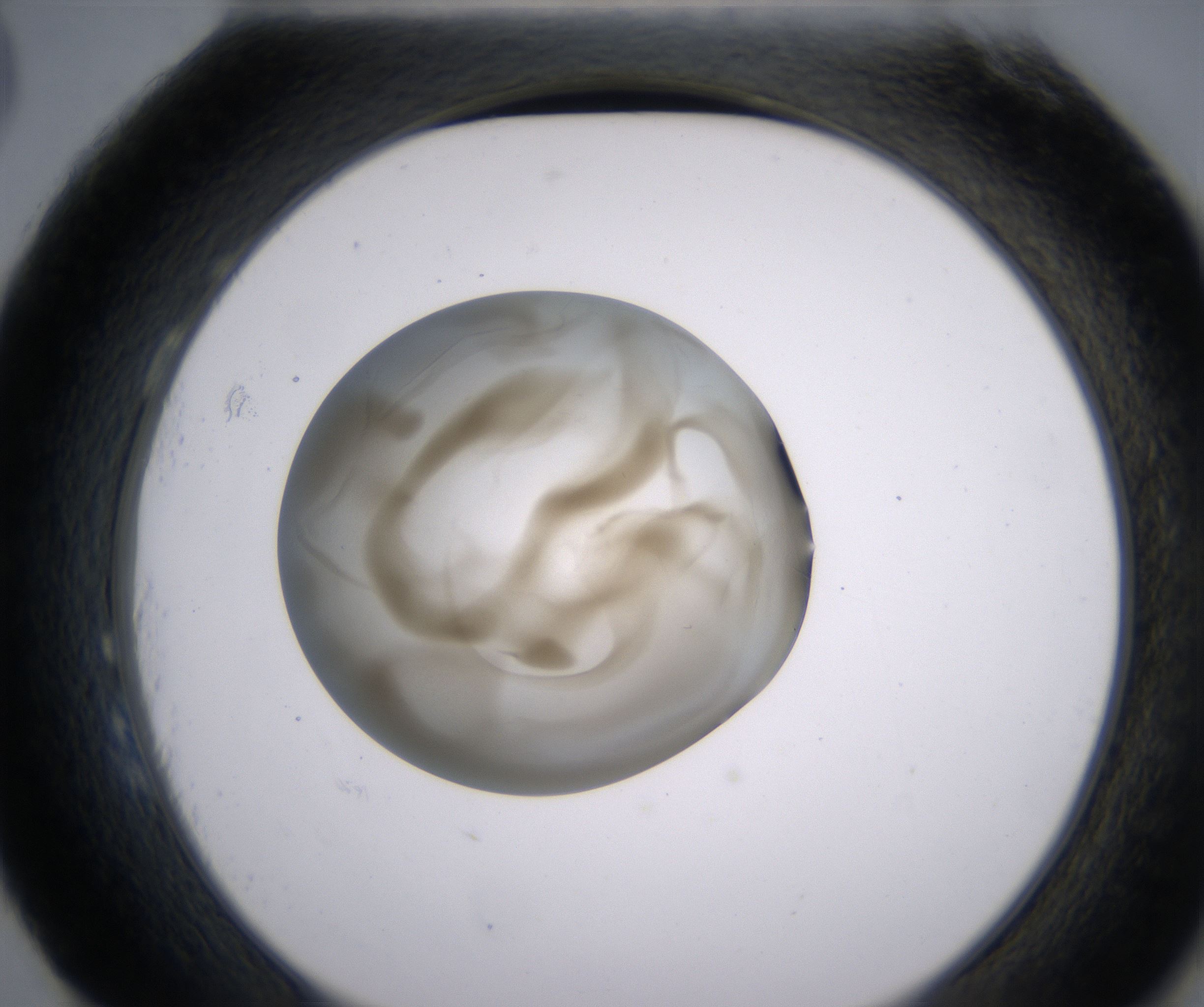 H3_HighResolution_Precipitate_2.jpg