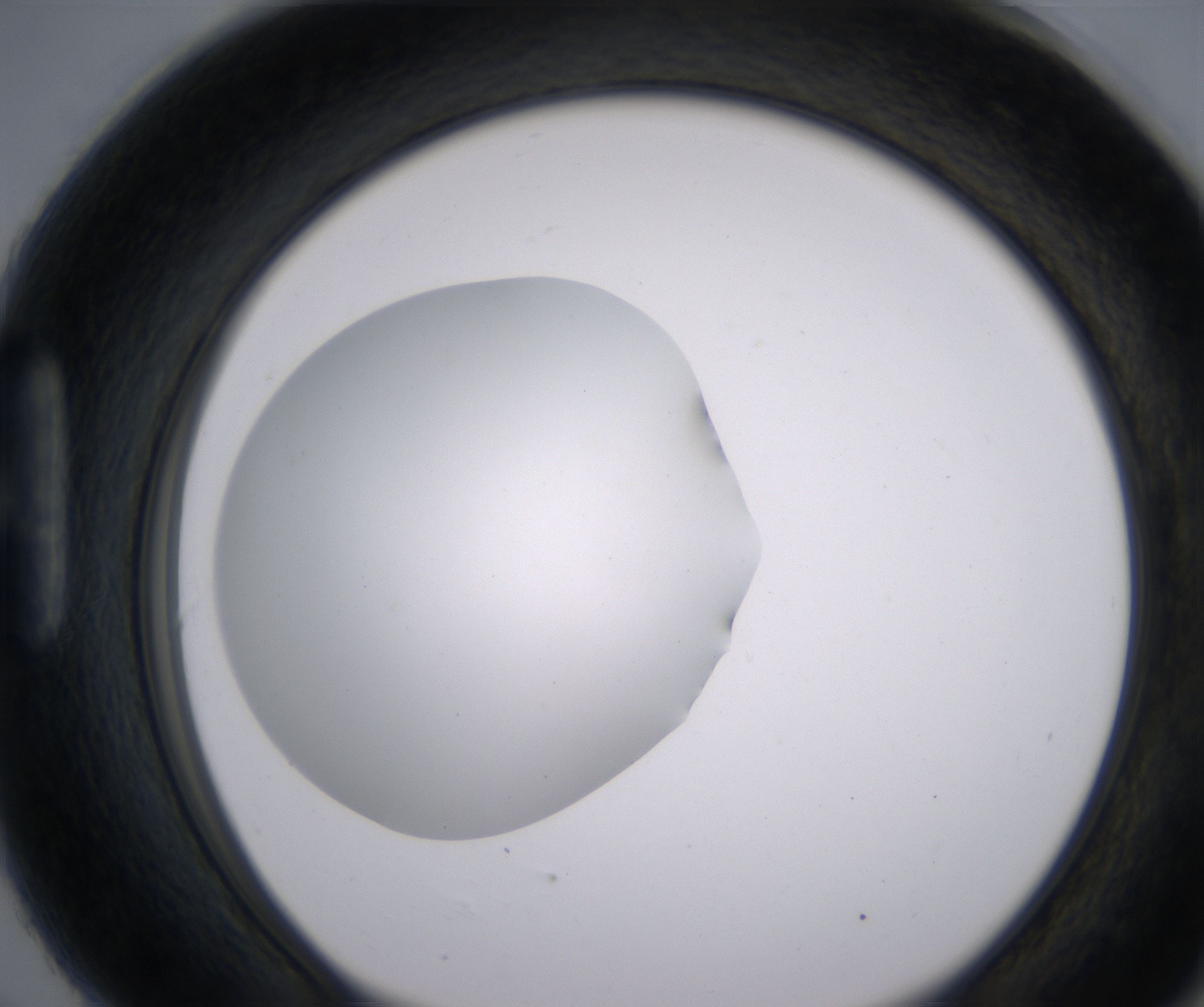 H6_HighResolution_Clear_1.jpg