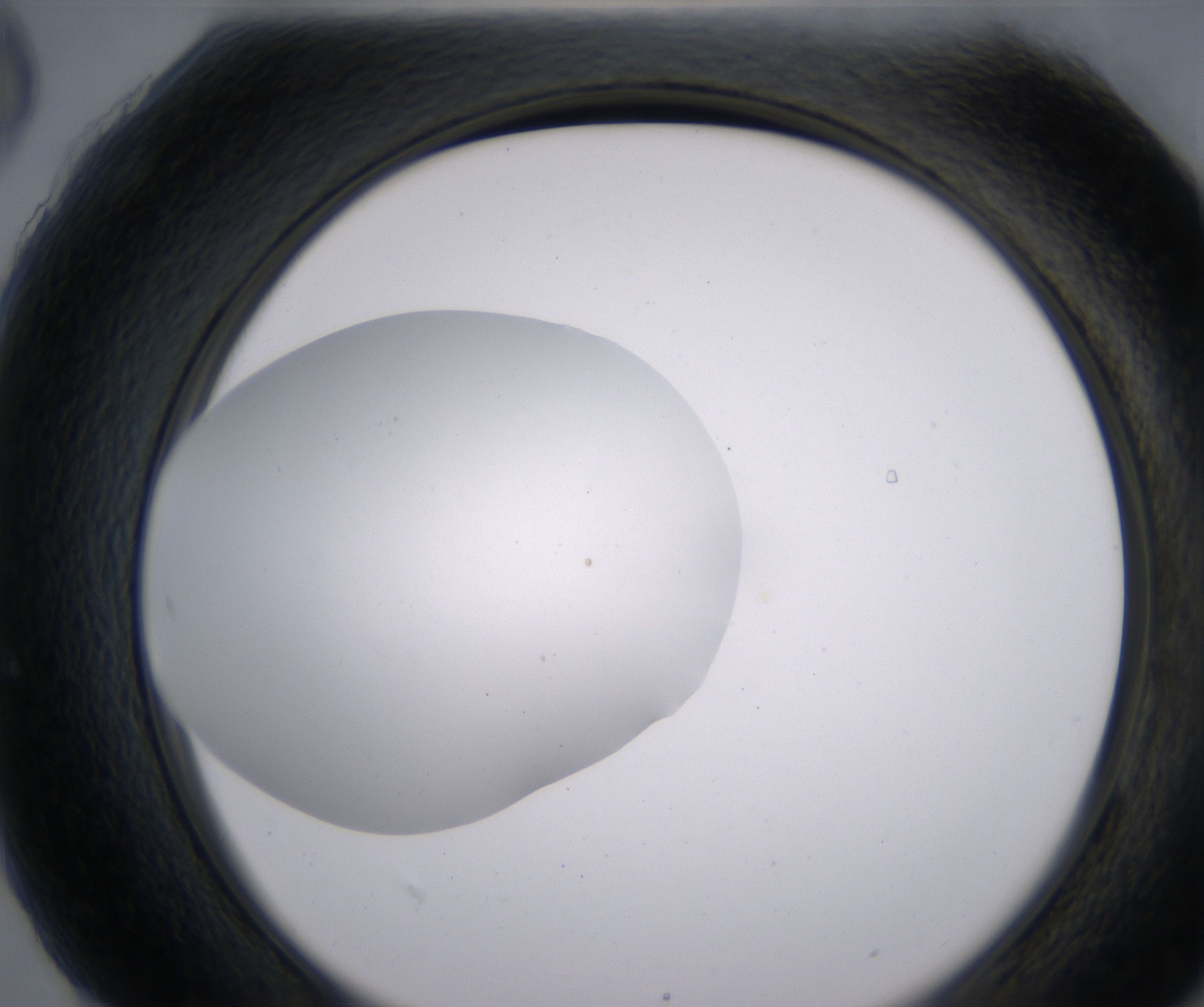 H6_HighResolution_Clear_2.jpg
