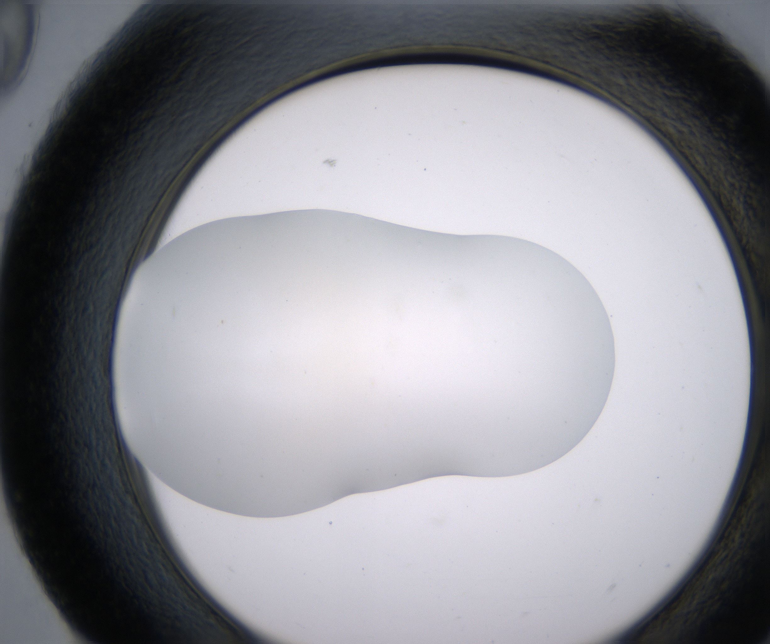 H9_HighResolution_Clear_2.jpg