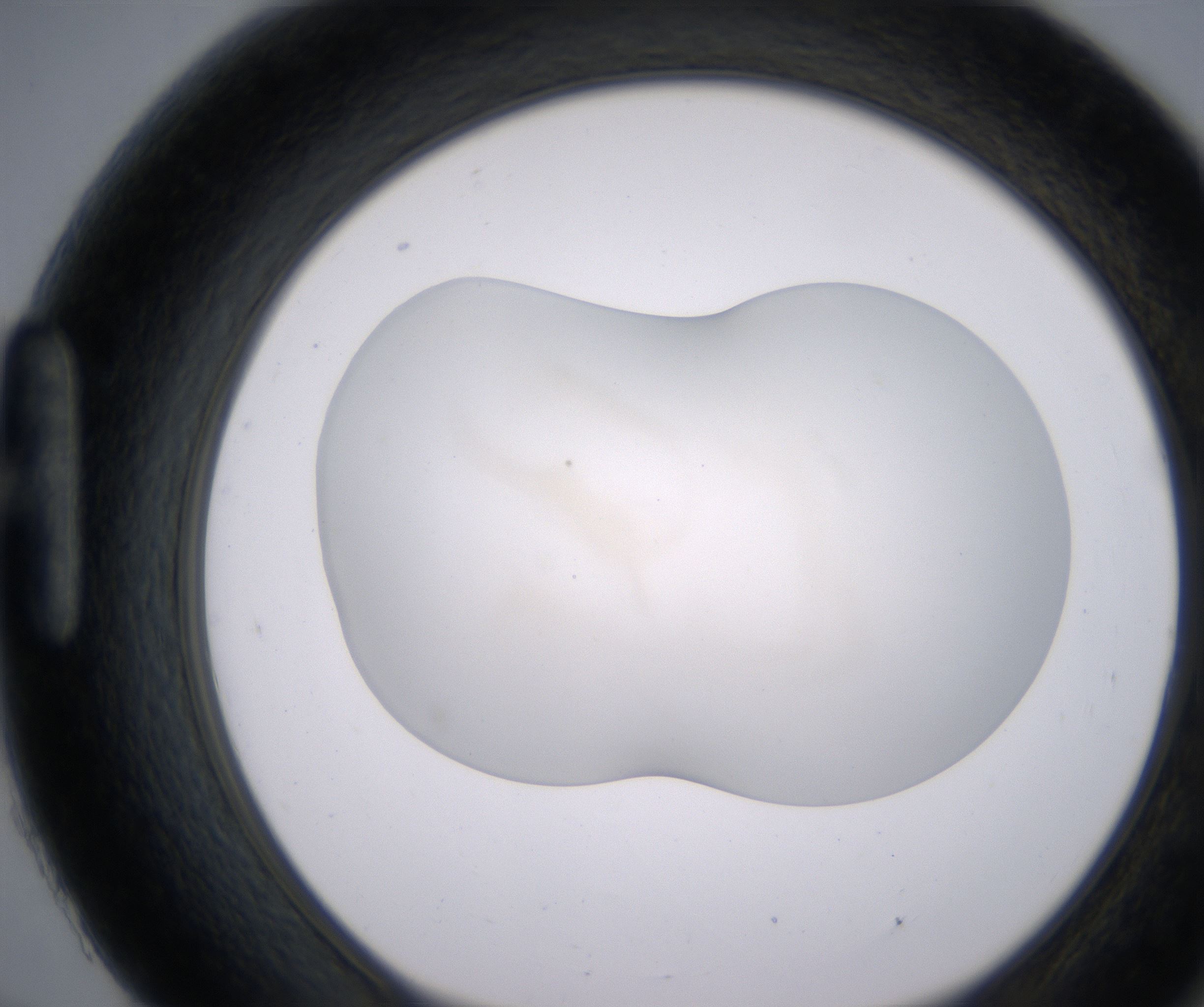 H9_HighResolution_Precipitate_1.jpg
