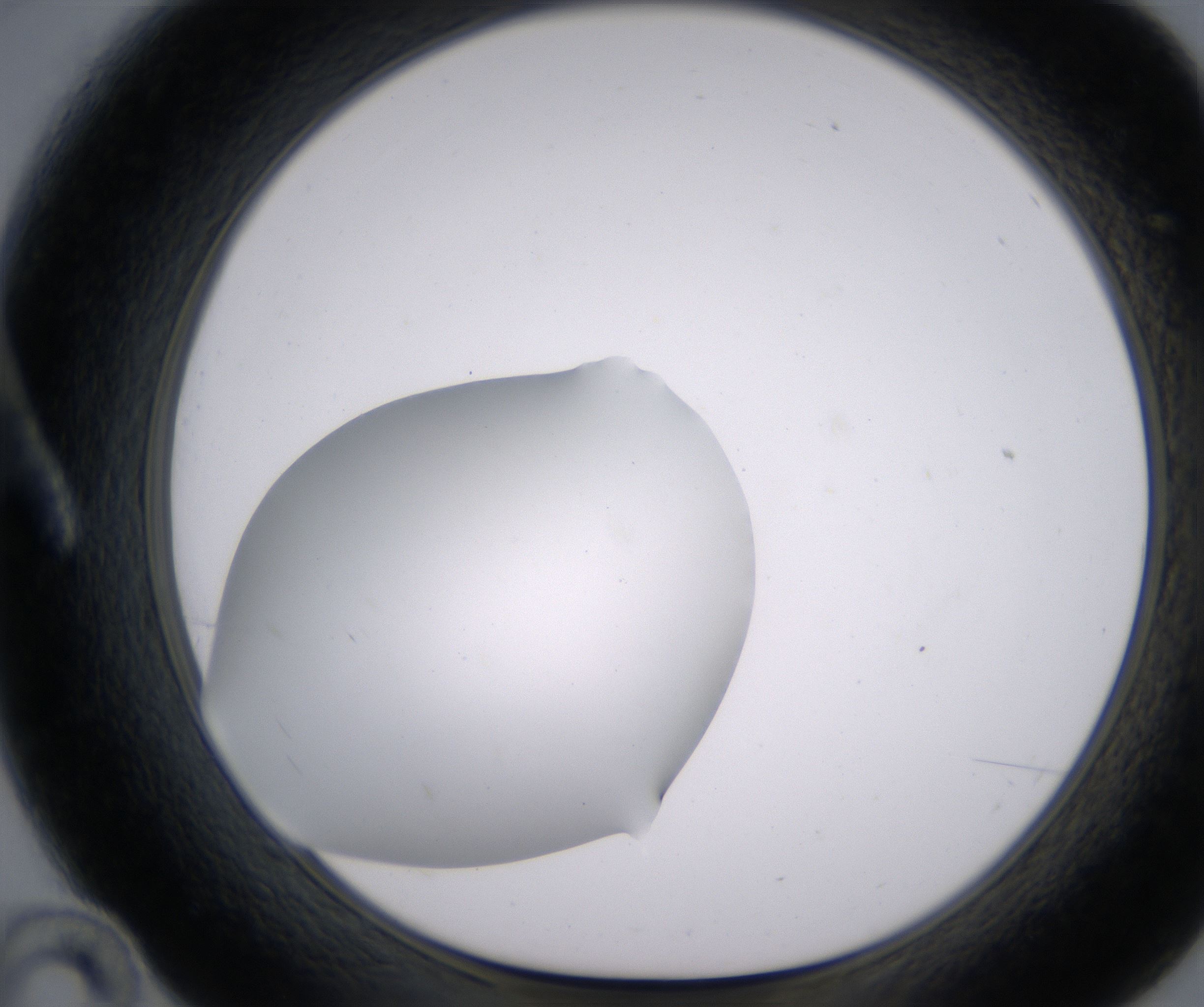A10_HighResolution_Clear_1.jpg