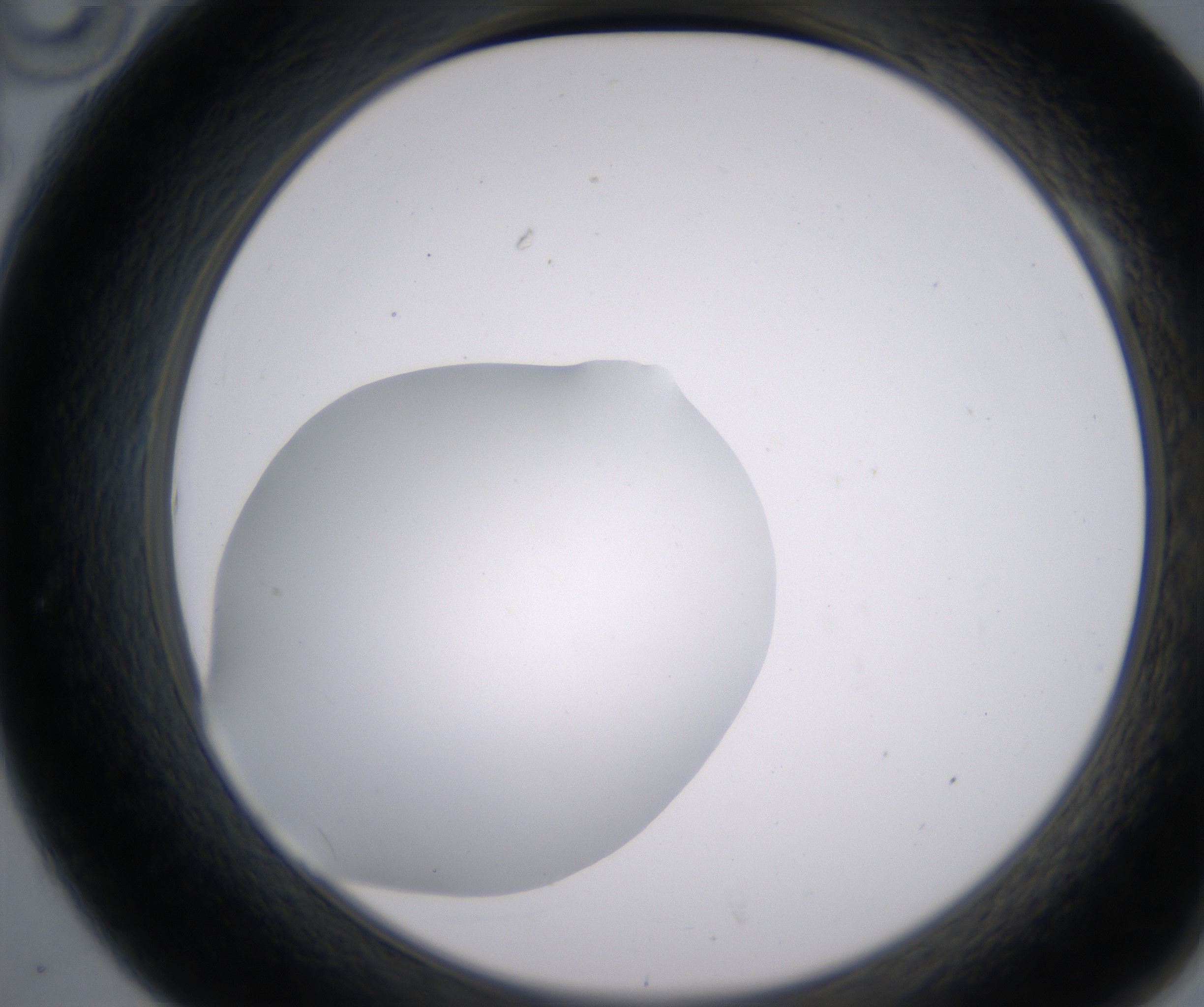 A10_HighResolution_Clear_2.jpg