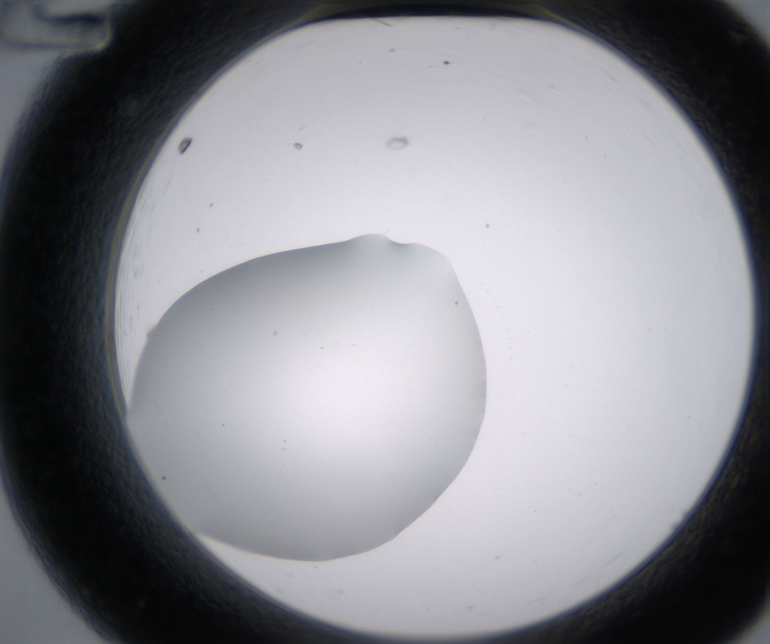 A12_HighResolution_Clear_2.jpg