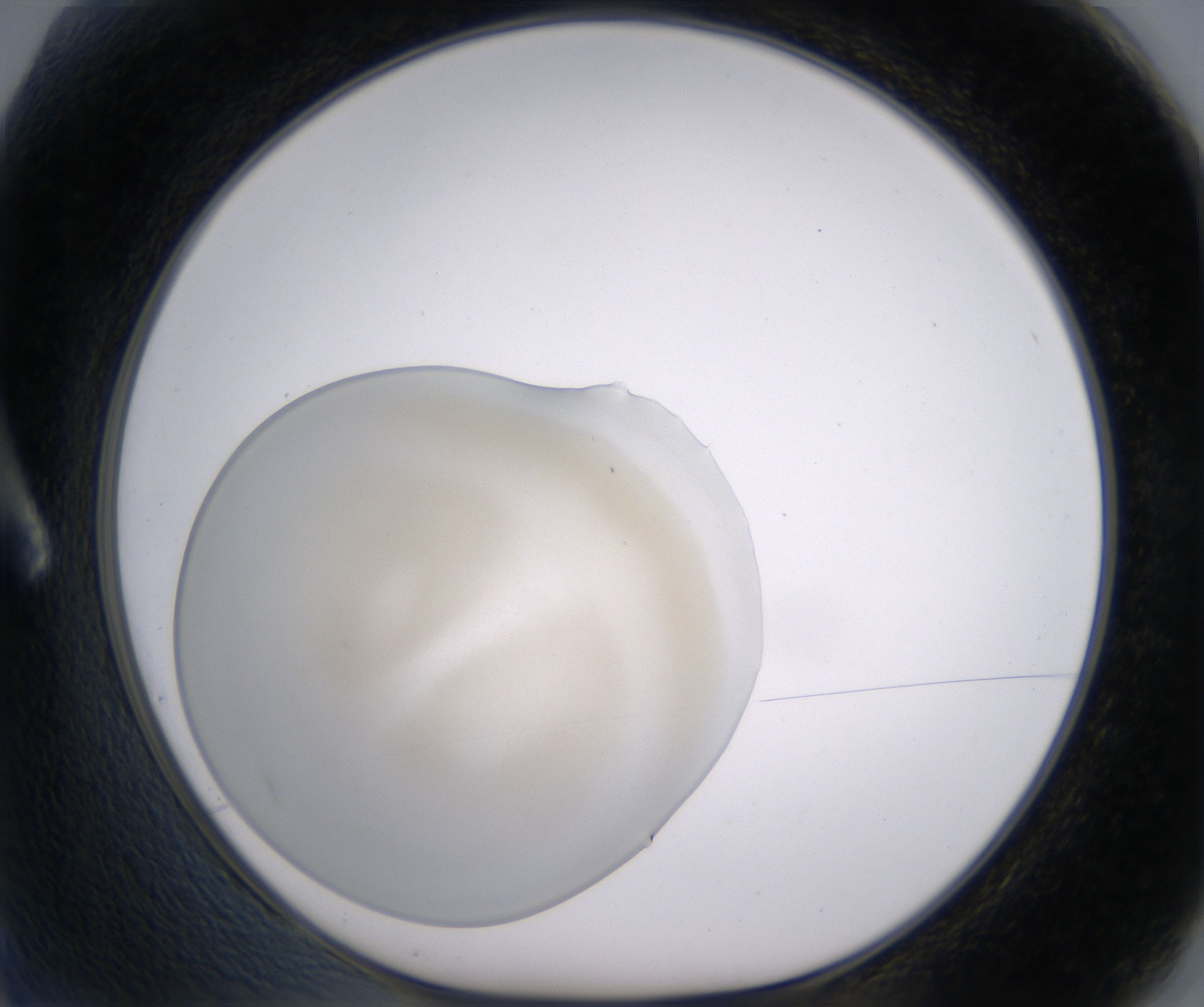 A2_HighResolution_Precipitate_1.jpg