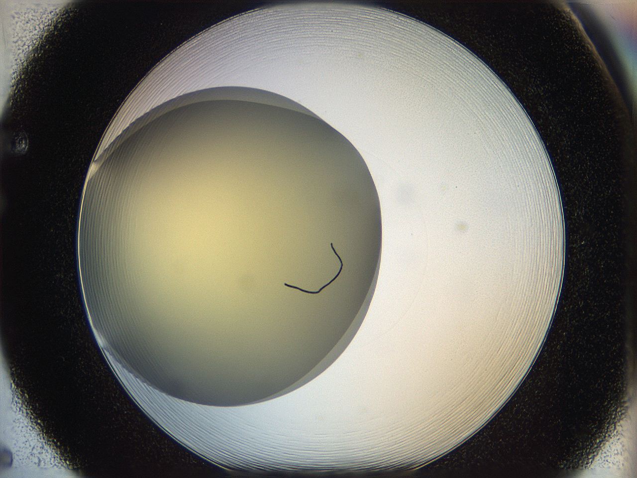 05k0_F5_ImagerDefaults_0.jpg