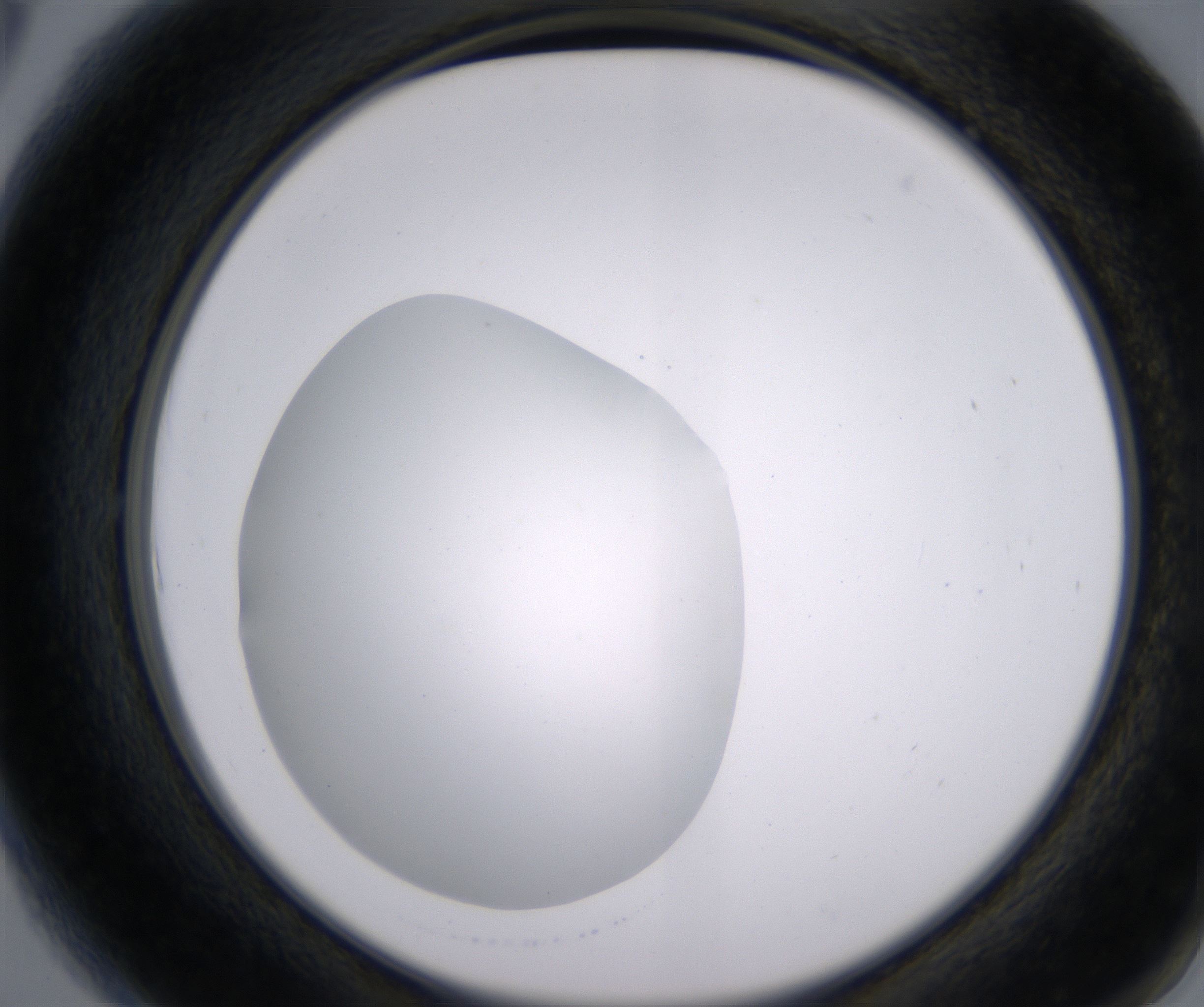 A6_HighResolution_Clear_2.jpg