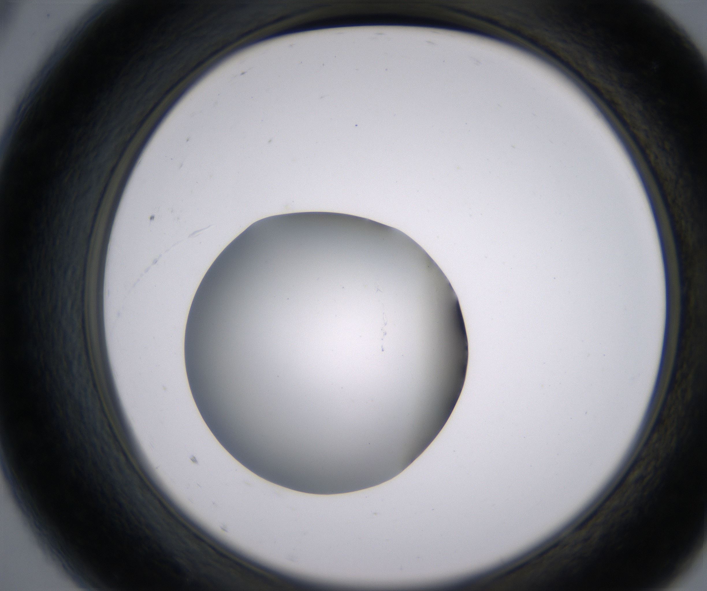 A9_HighResolution_Clear_2.jpg