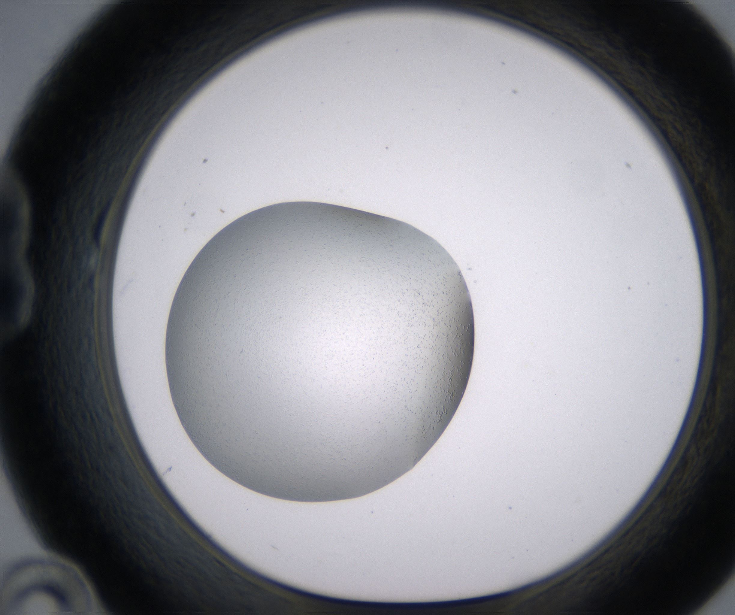 B10_HighResolution_Clear_1.jpg
